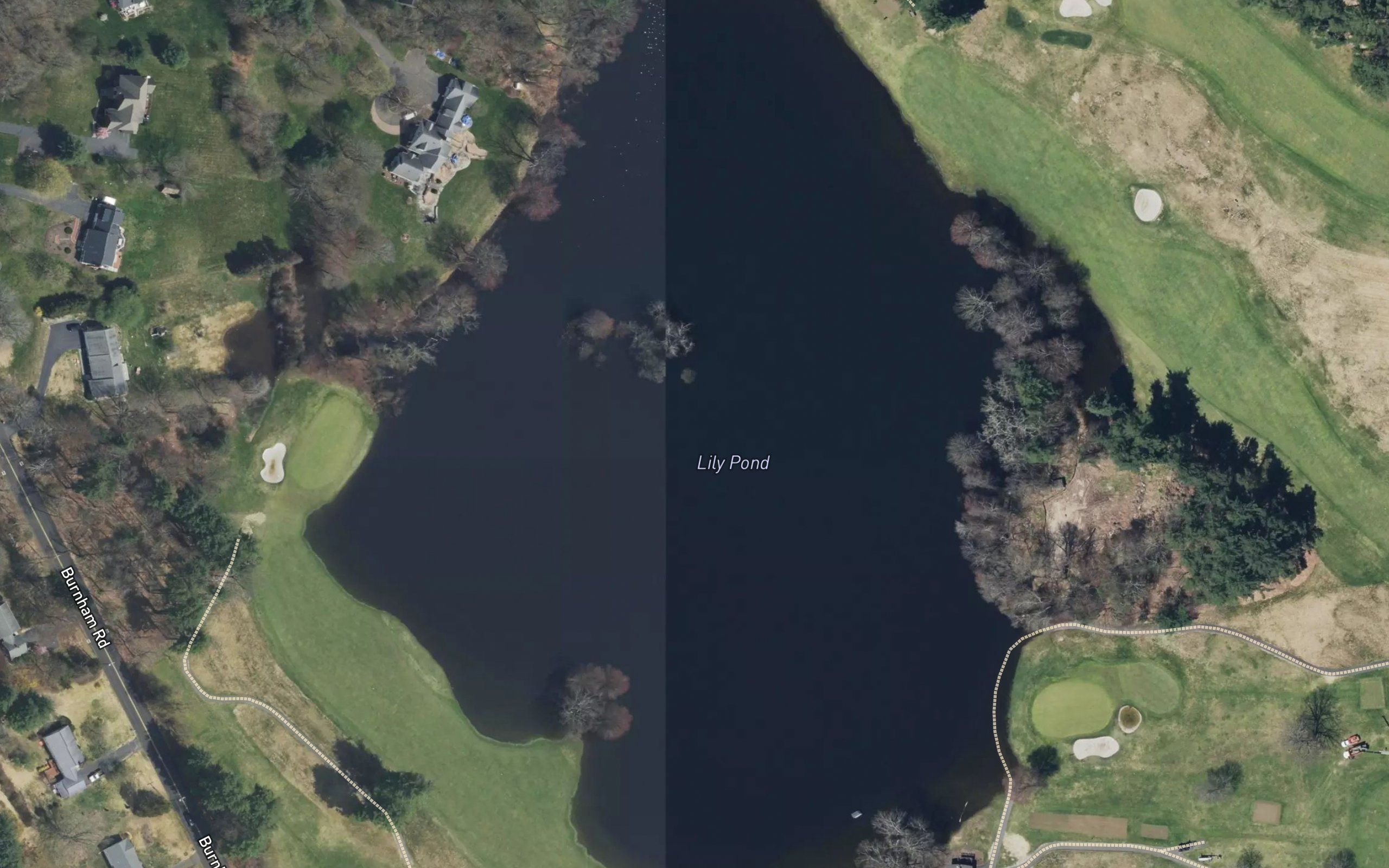 Lily Pond
