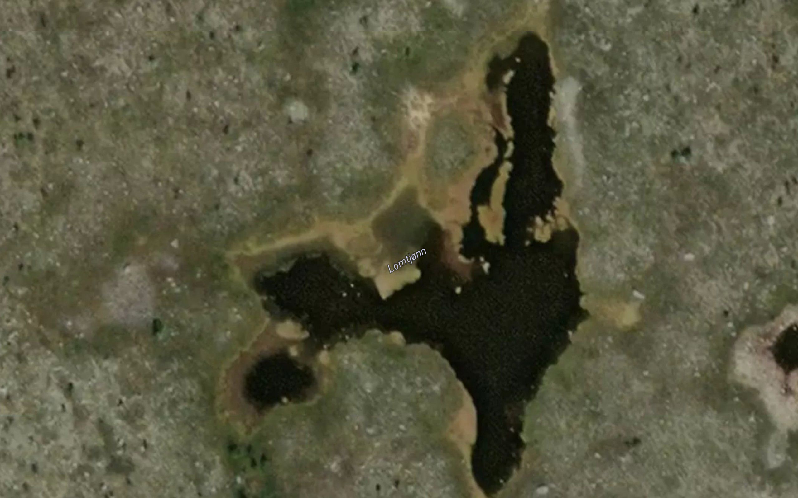 Lomtjonn