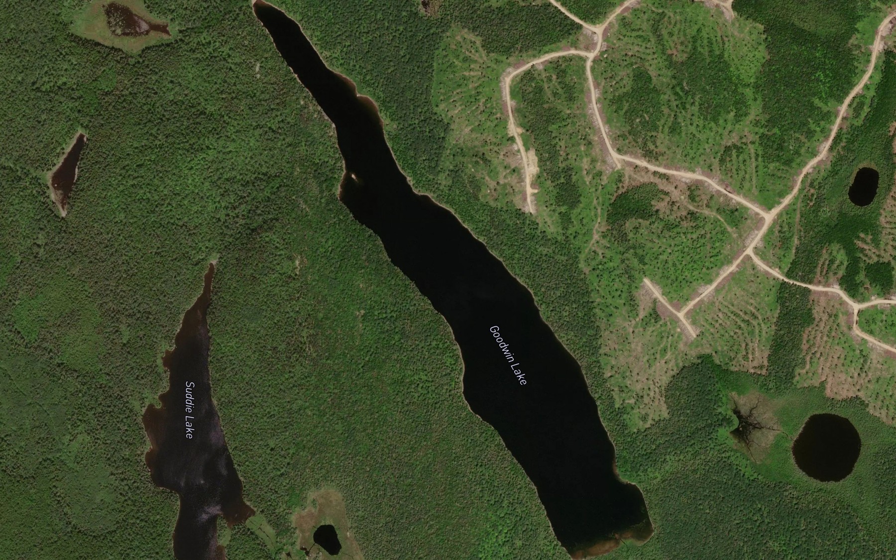 Satellite map of the Goodwin Lake