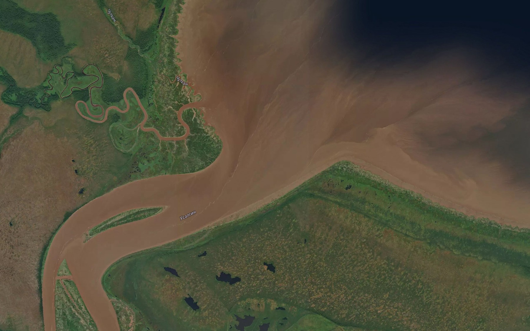 Satellite map of the Usalgin