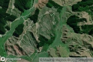 Mangakahikatea Stream