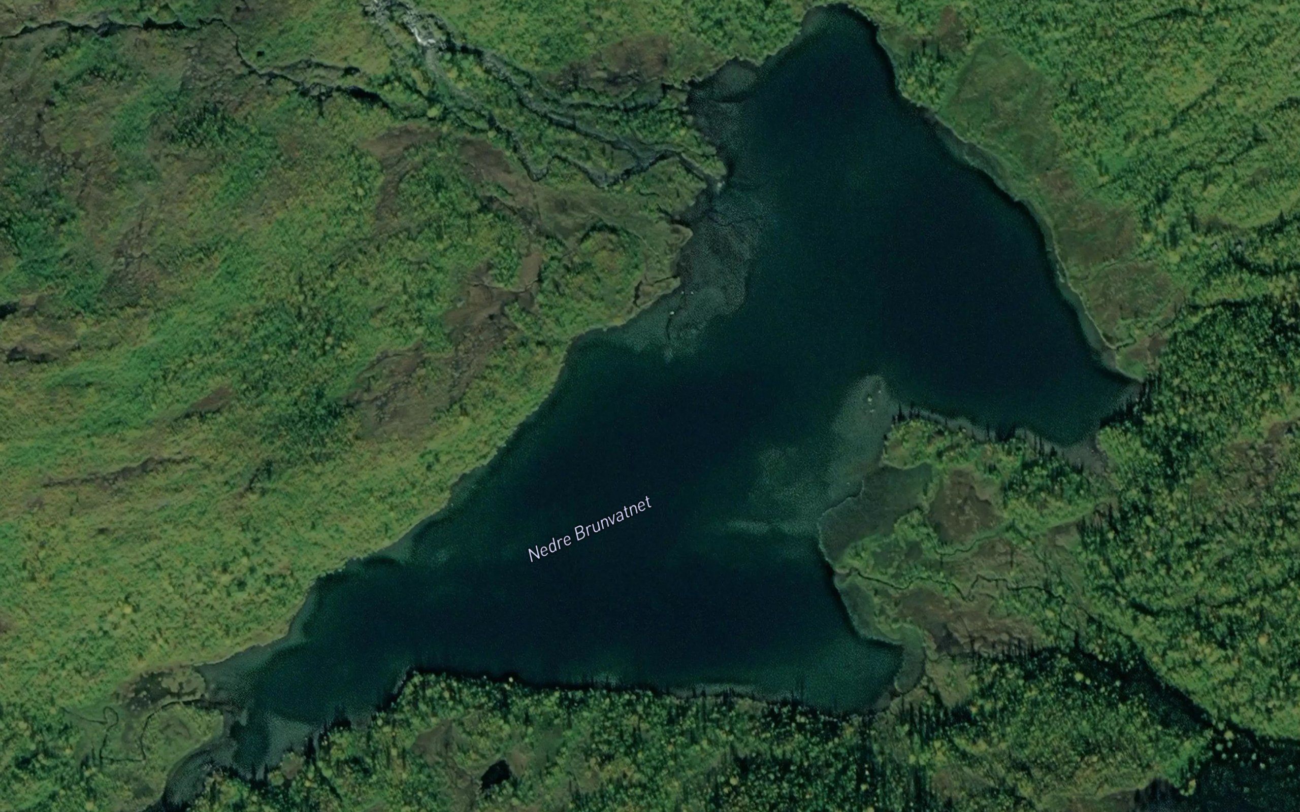 Brunvatnet,nedre
