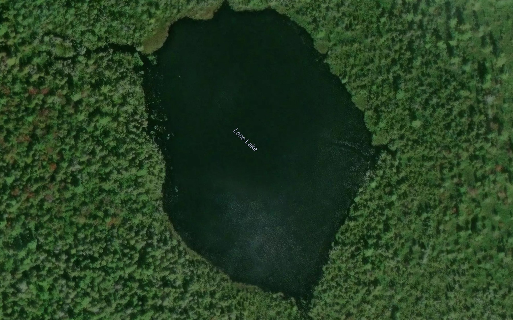 Satellite map of the Lone Lake