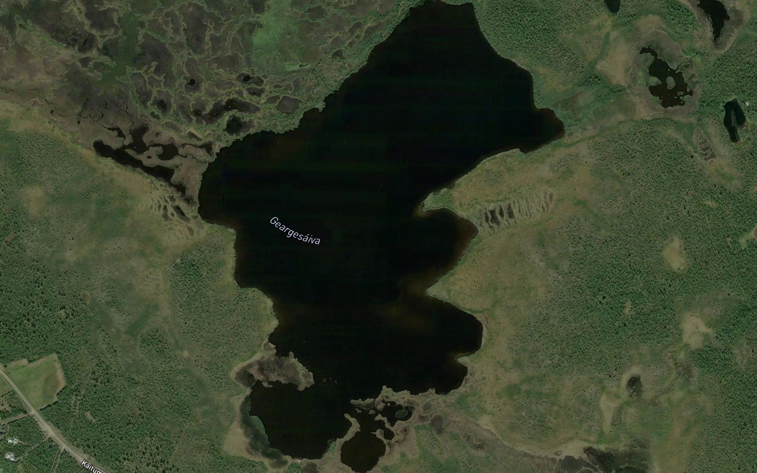 Kedke Saivo