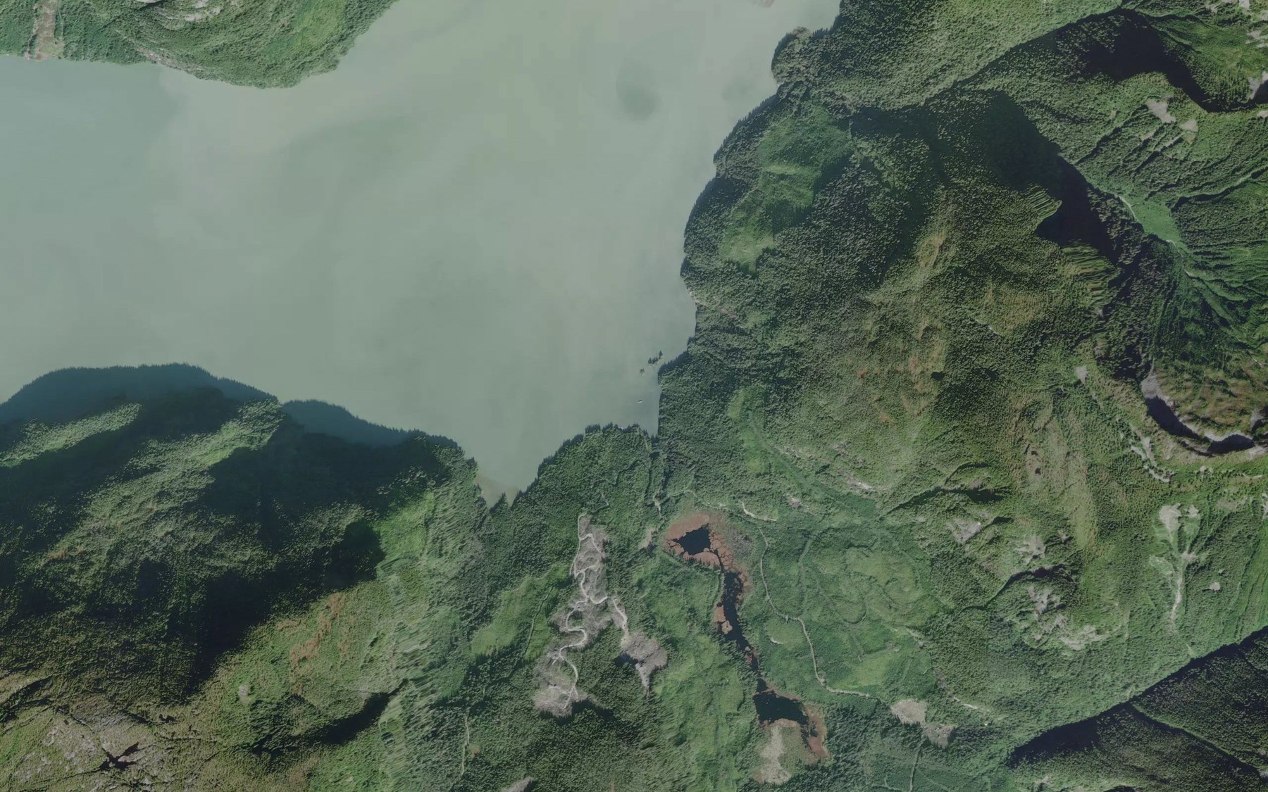 Satellite map of the Anchorage Cove