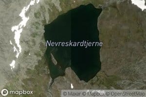Nevreskardtjerni