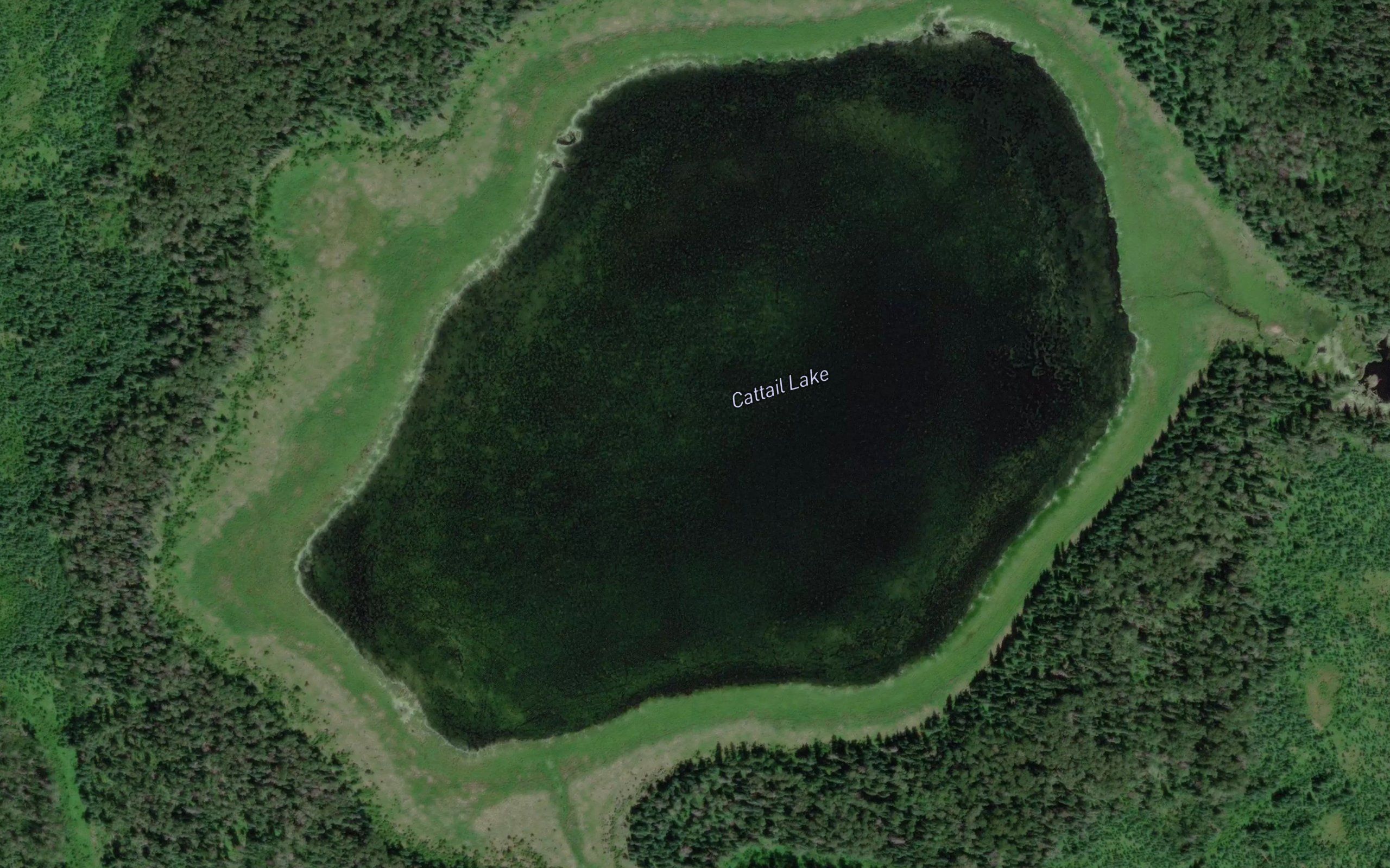 Cattail Lake