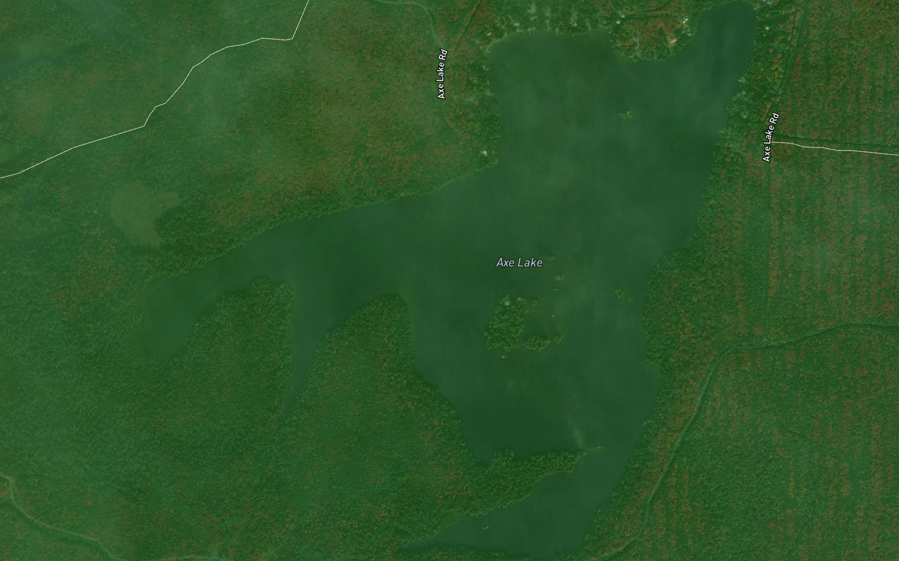 Satellite map of the Axe Lake