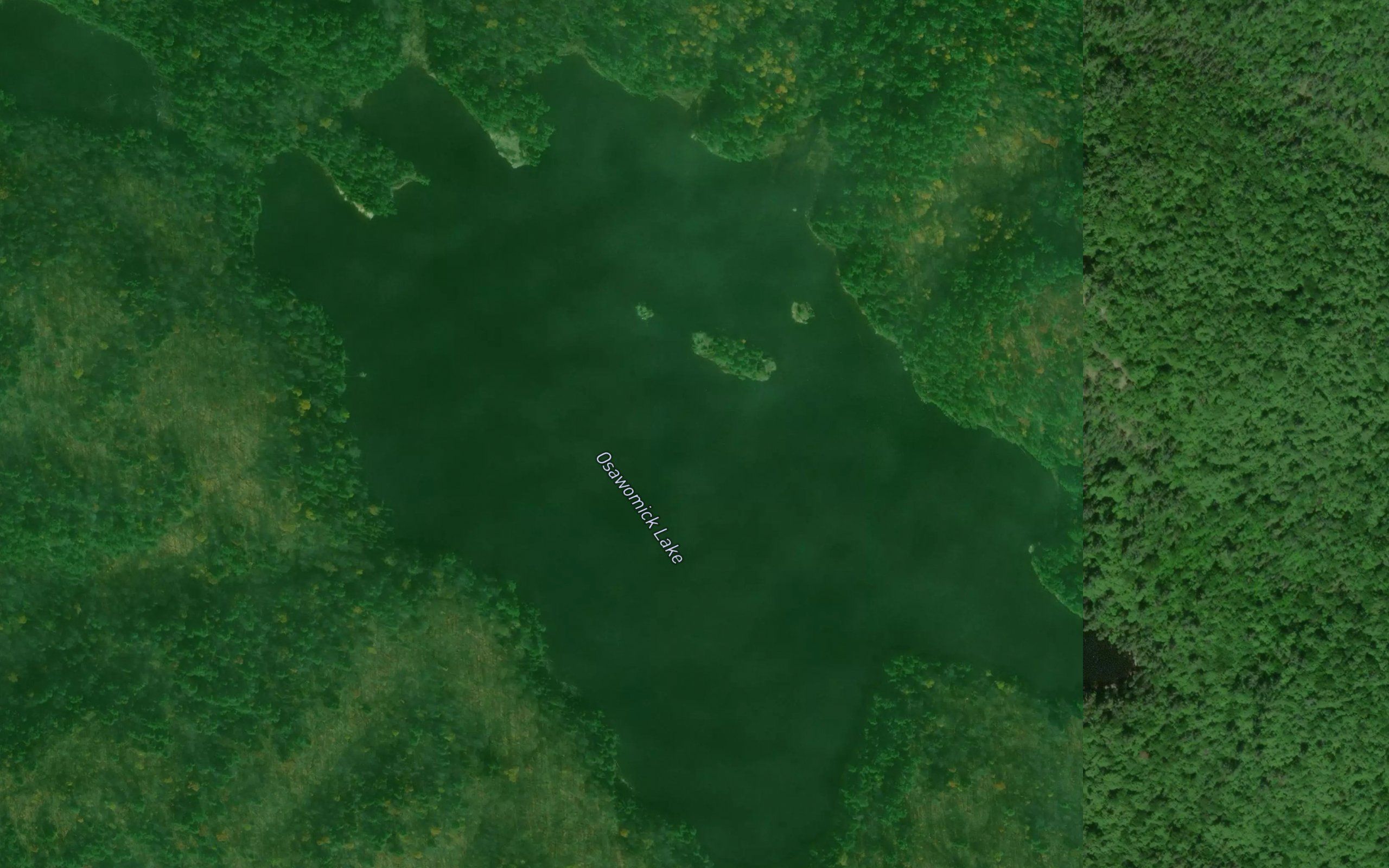 Osawomick Lake