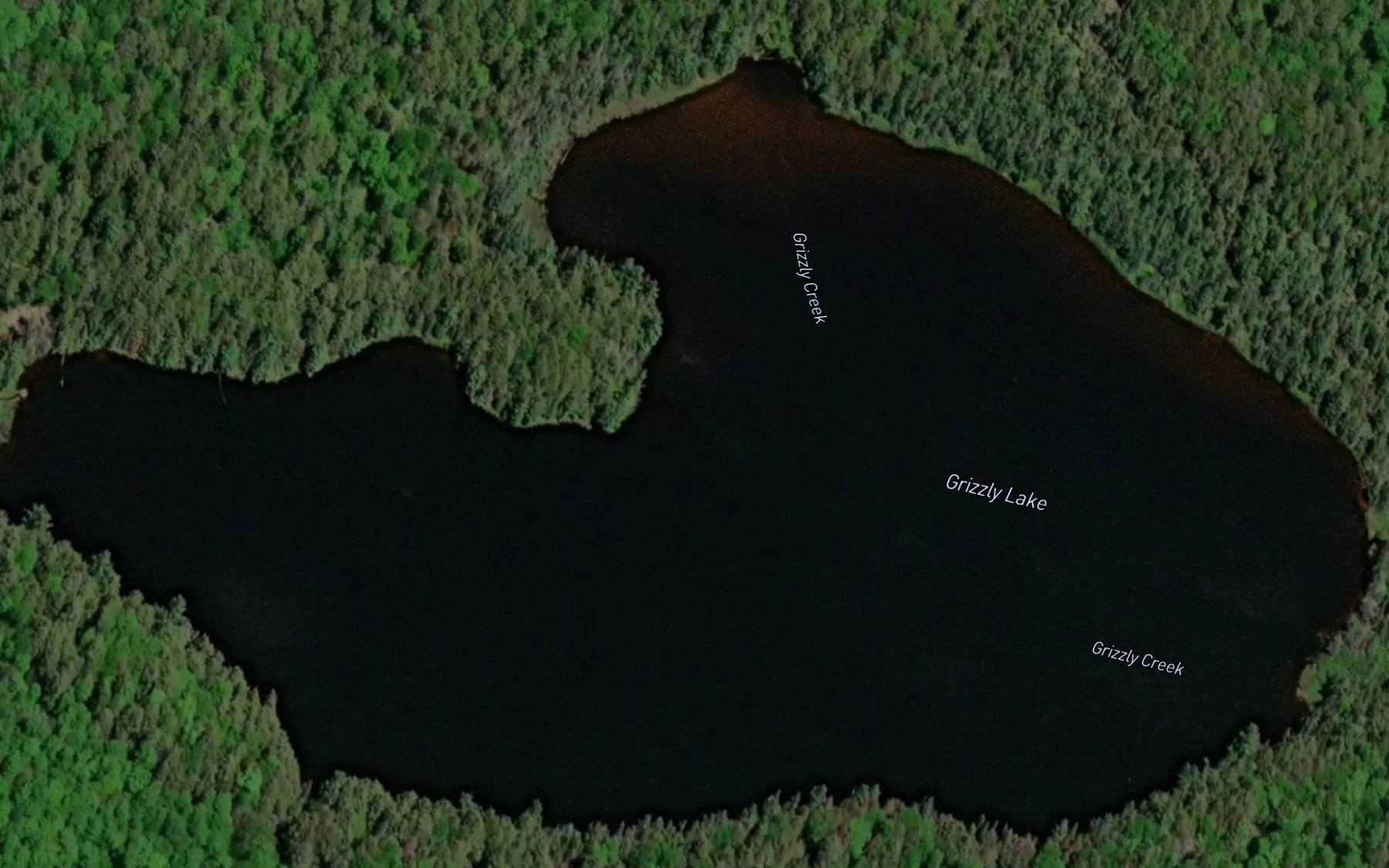 Satellite map of the Grizzly Lake