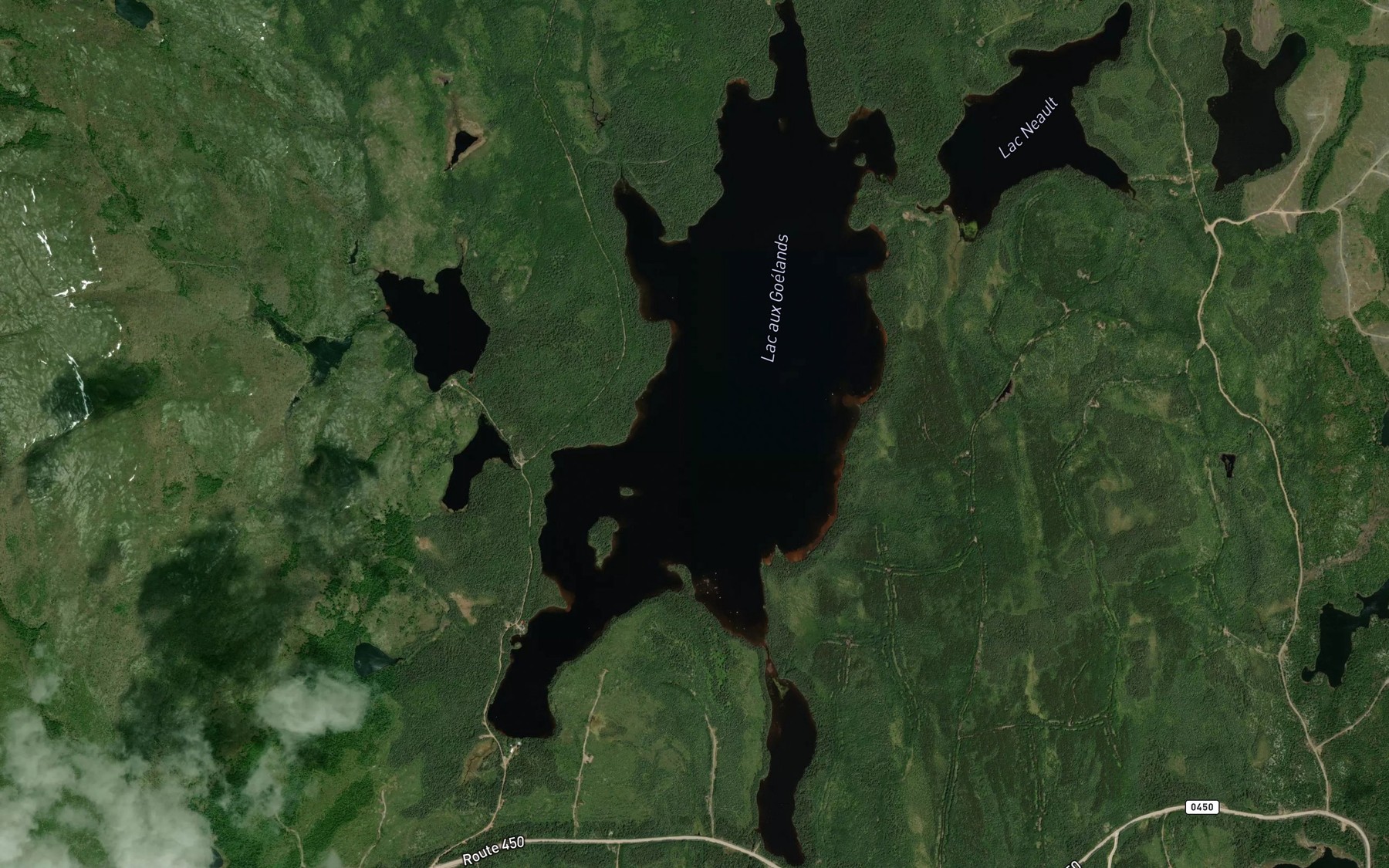 Satellite map of the Lac aux Goelands
