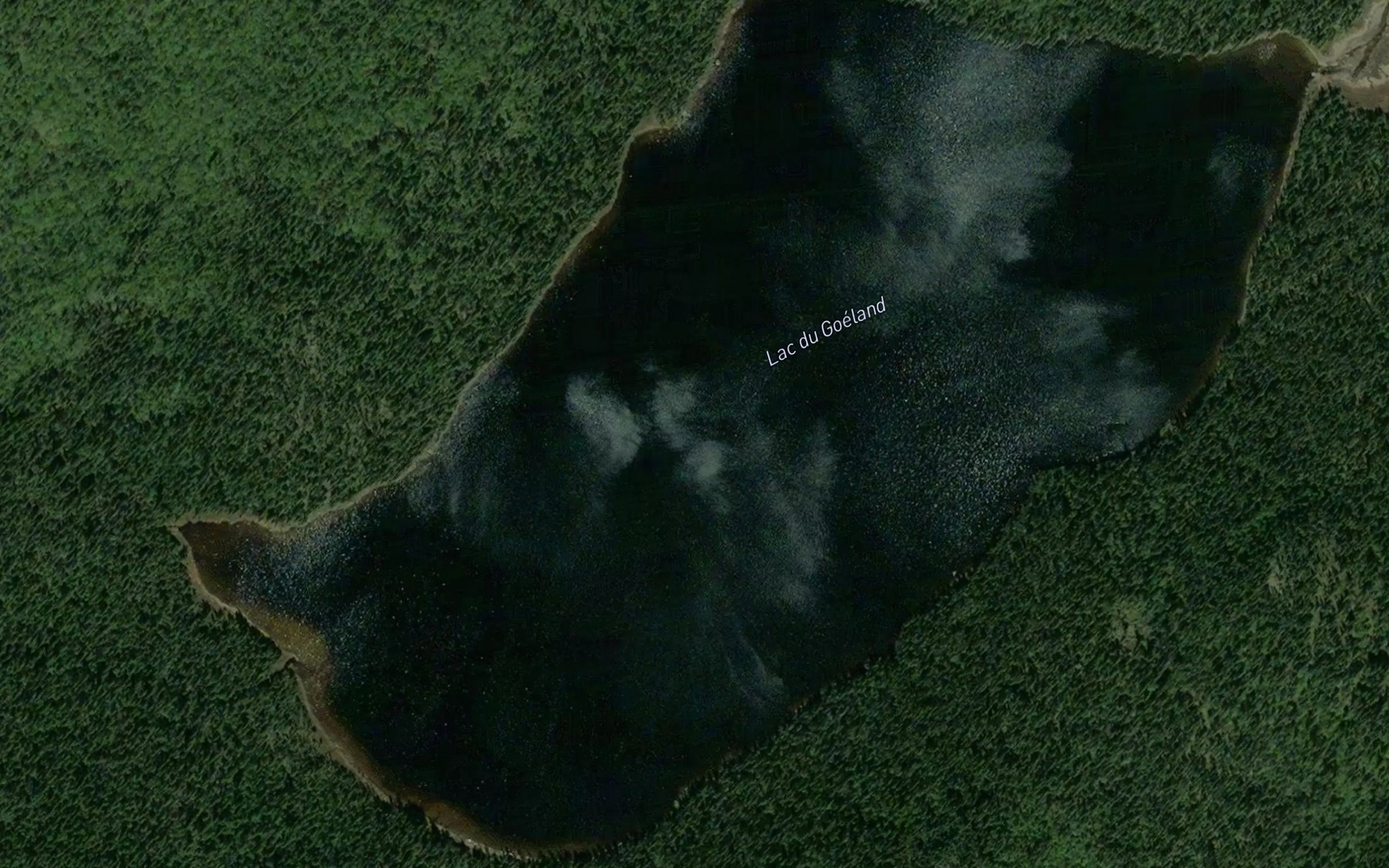 Satellite map of the Lac du Goeland