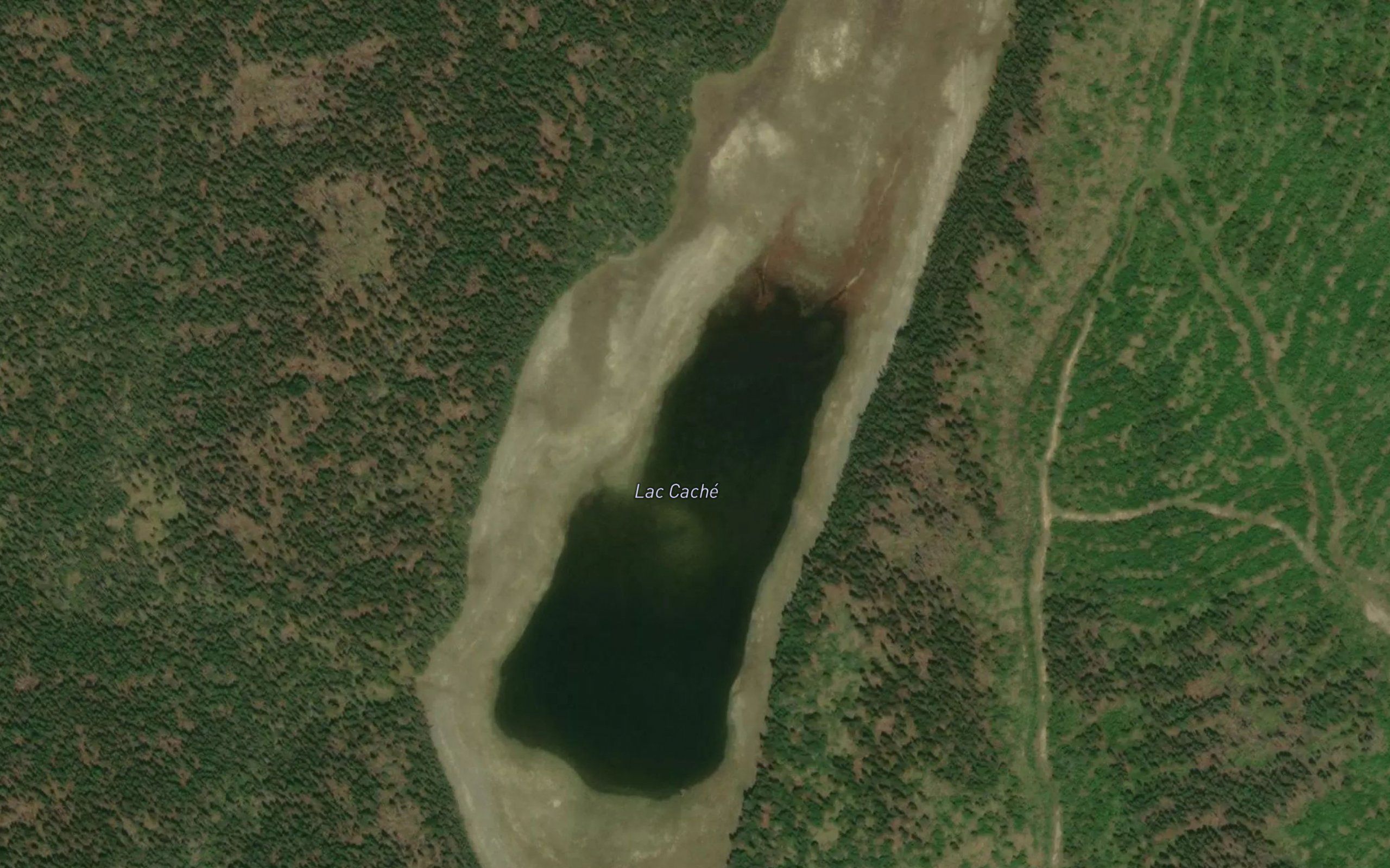 Lac Cache