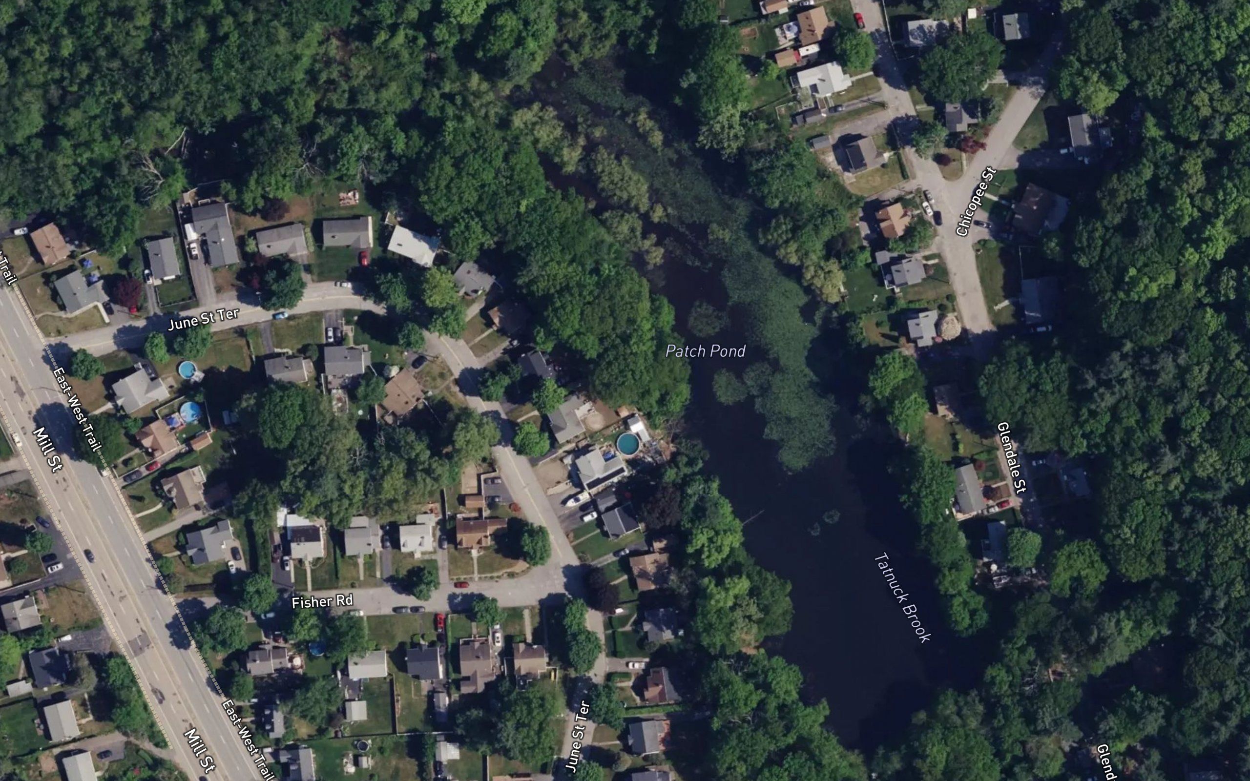 Patch Pond