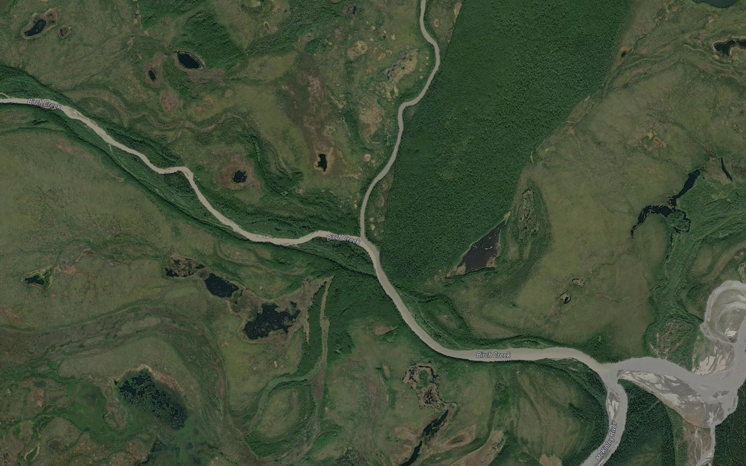 Muddy River