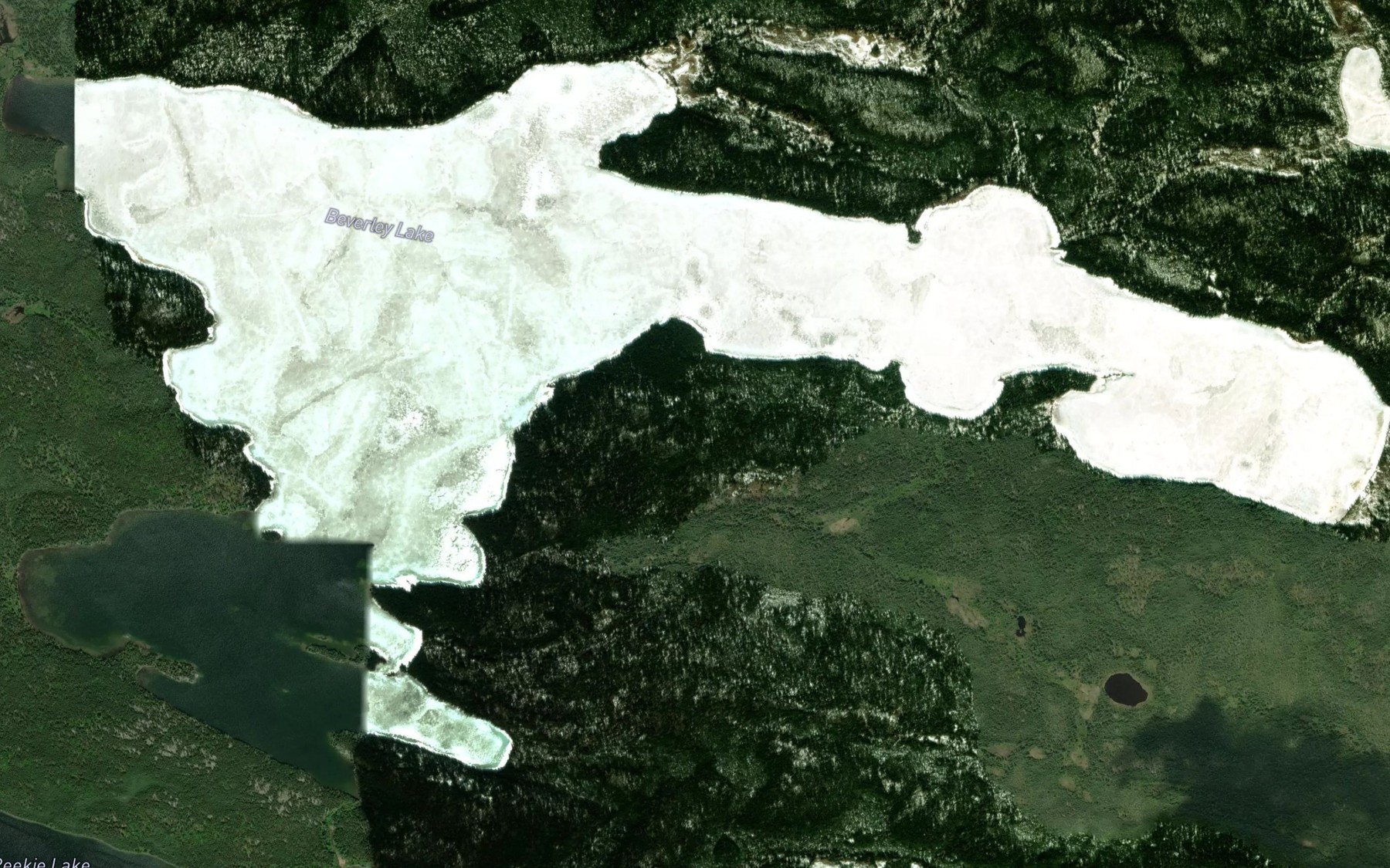 Satellite map of the Beverley Lake