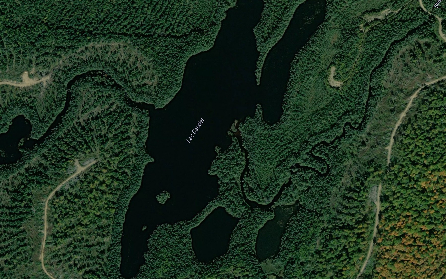 Satellite map of the Lac Caudet