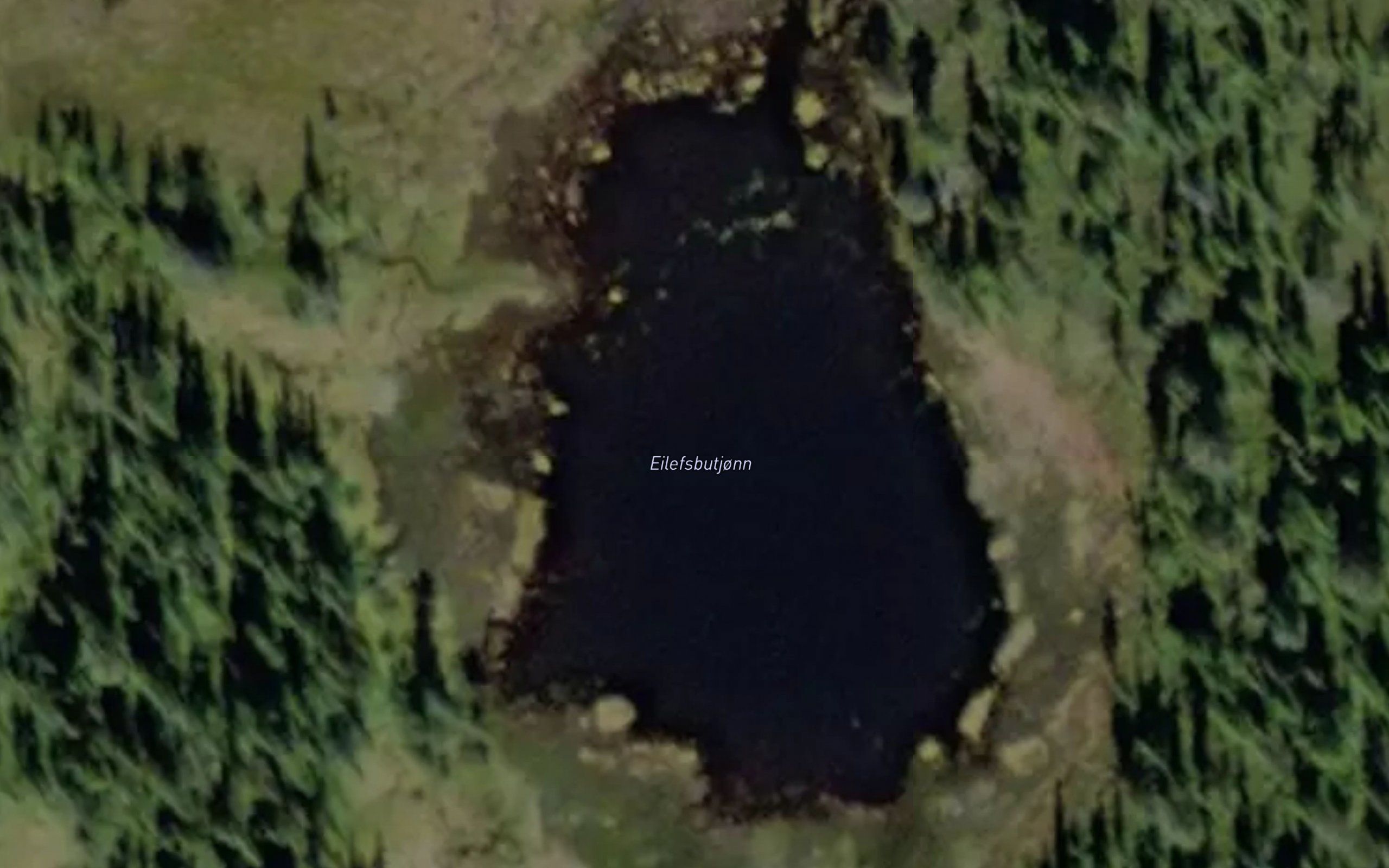 Eilefsbutjonn