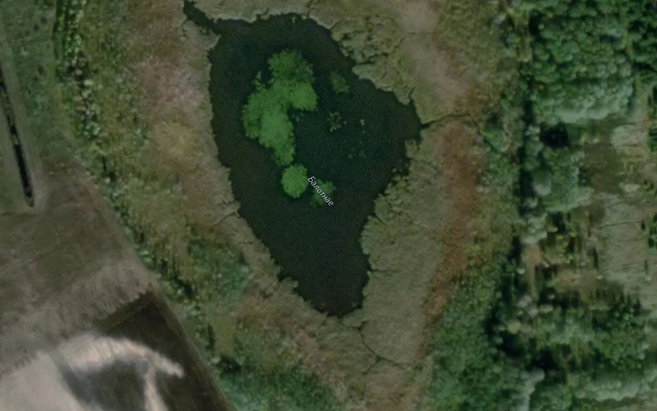 Ozero Bolotnoye