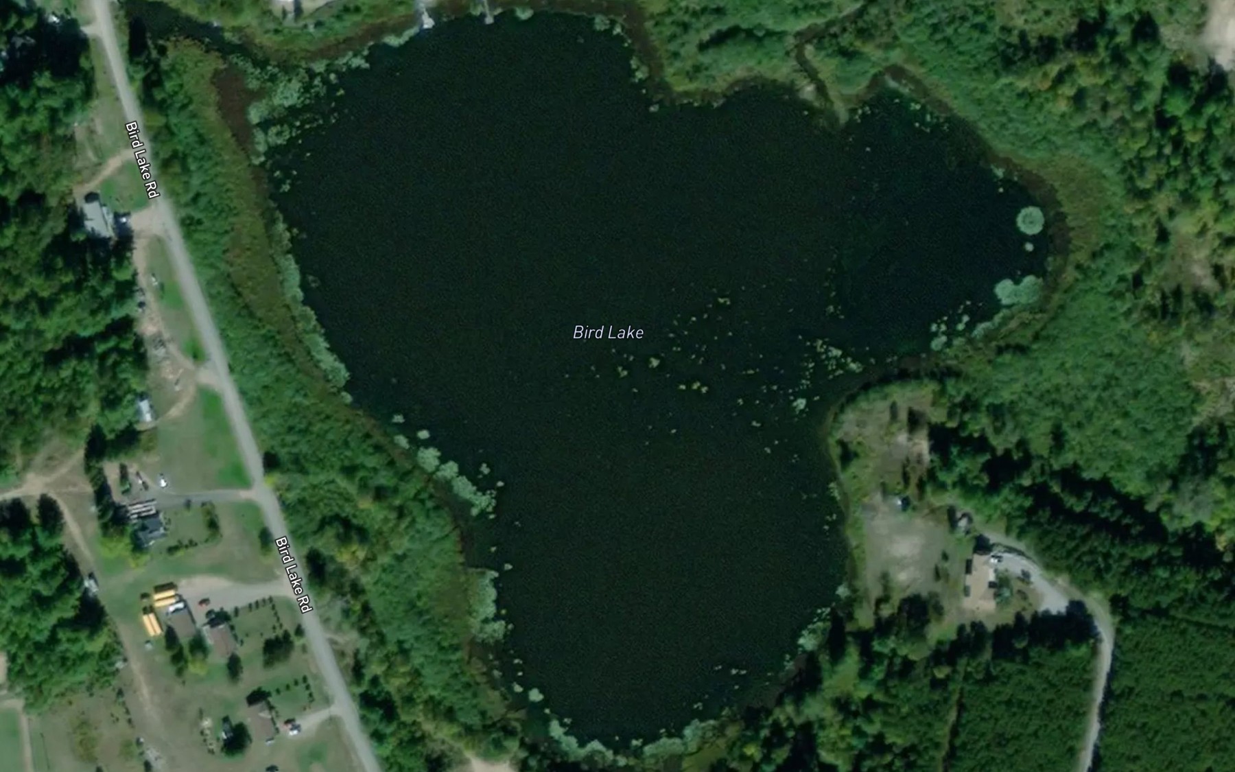 Satellite map of the Bird Lake