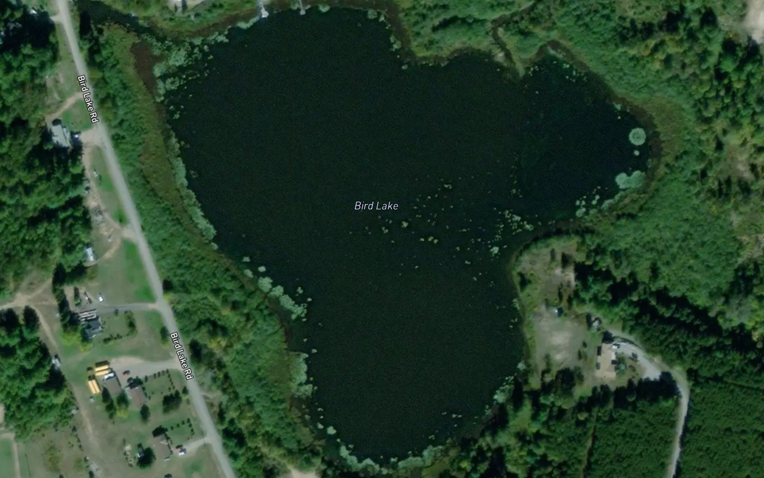 Bird Lake