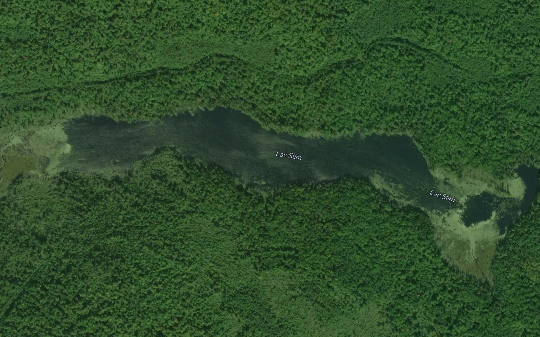 Satellite map of the Lac Slim