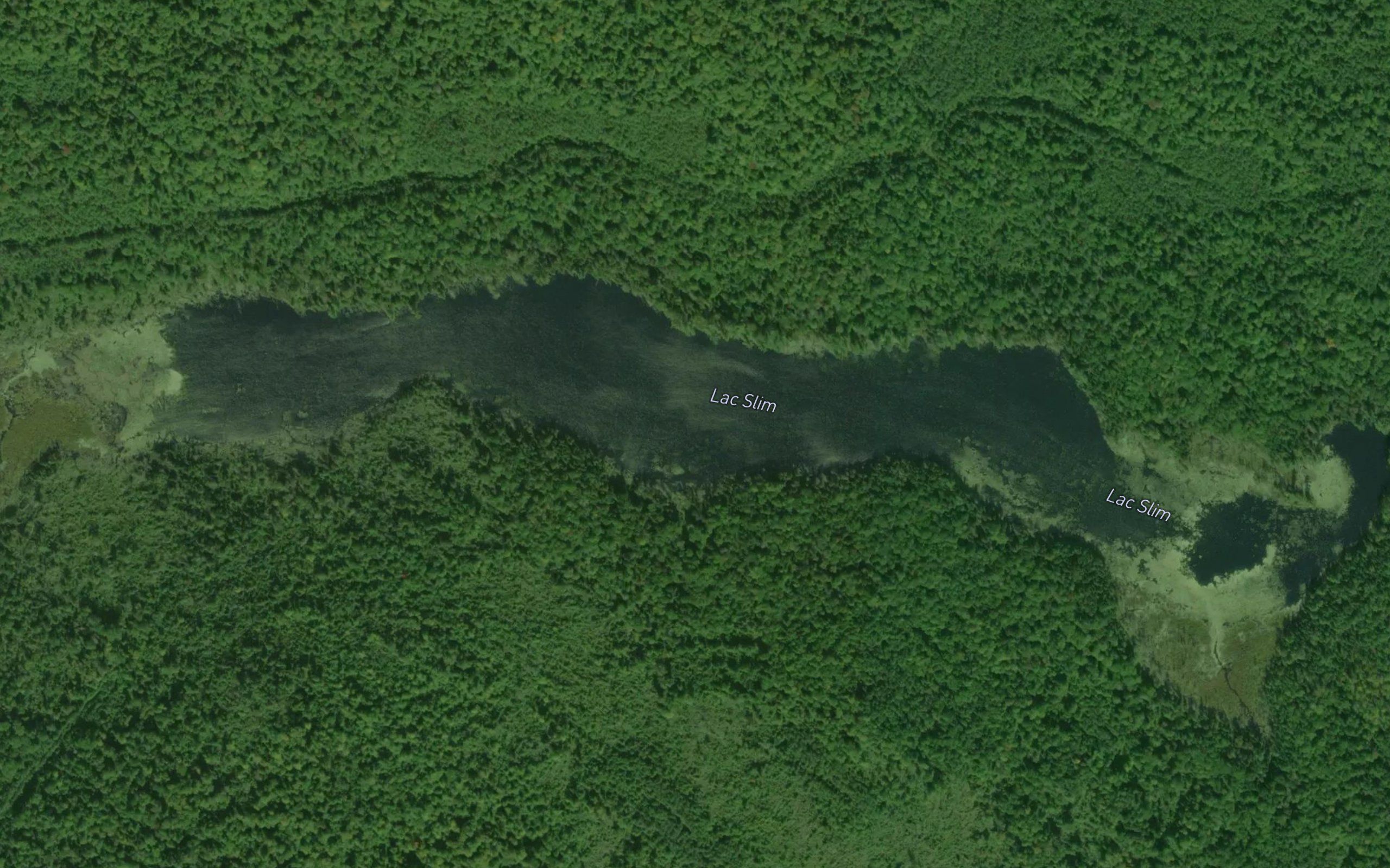 Lac Slim