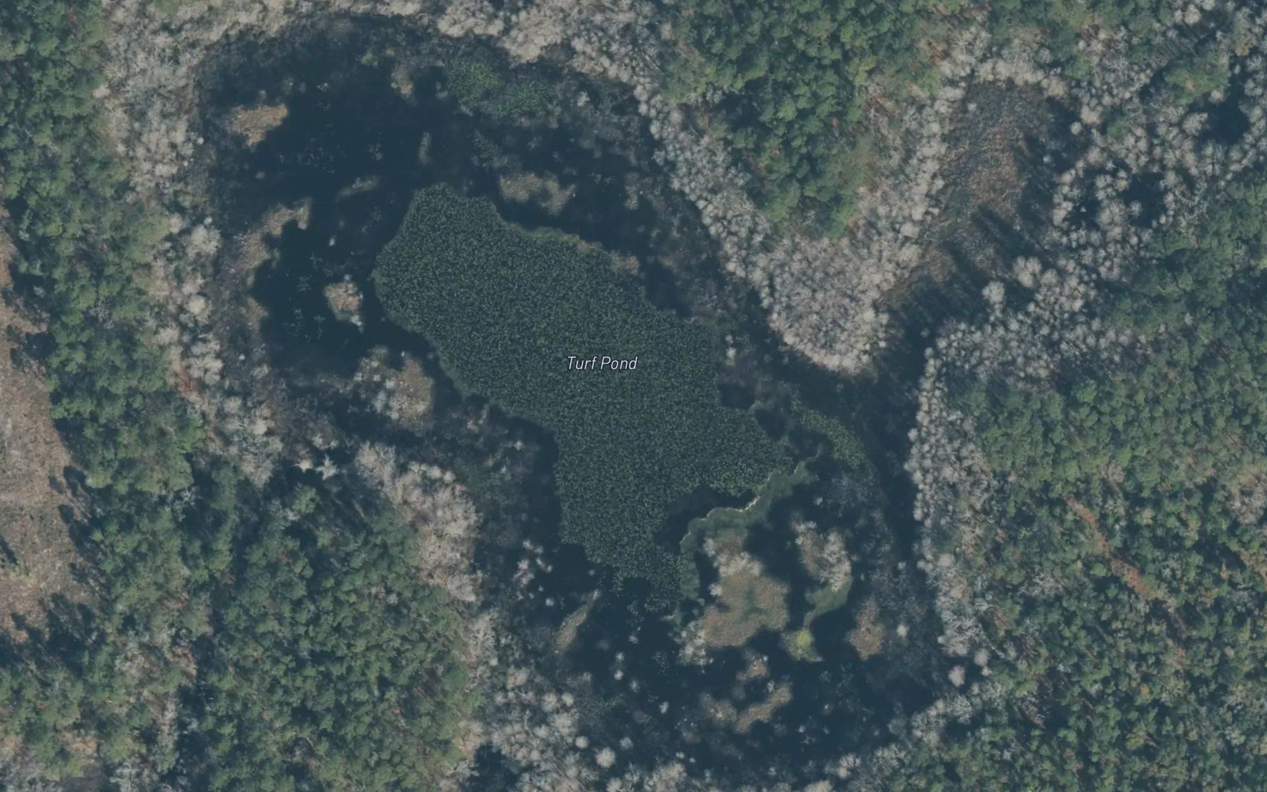 Turf Pond