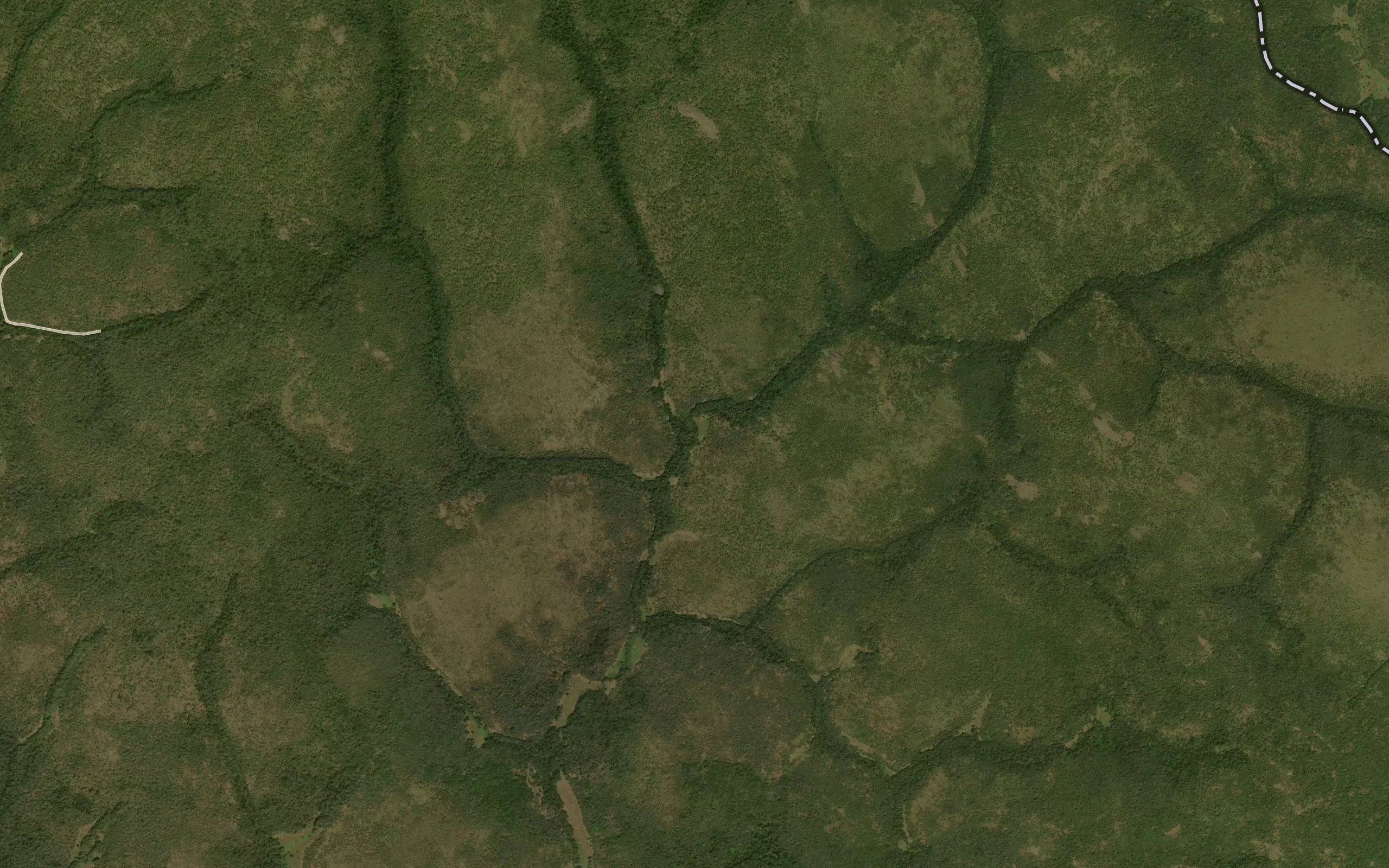 Ngbasi
