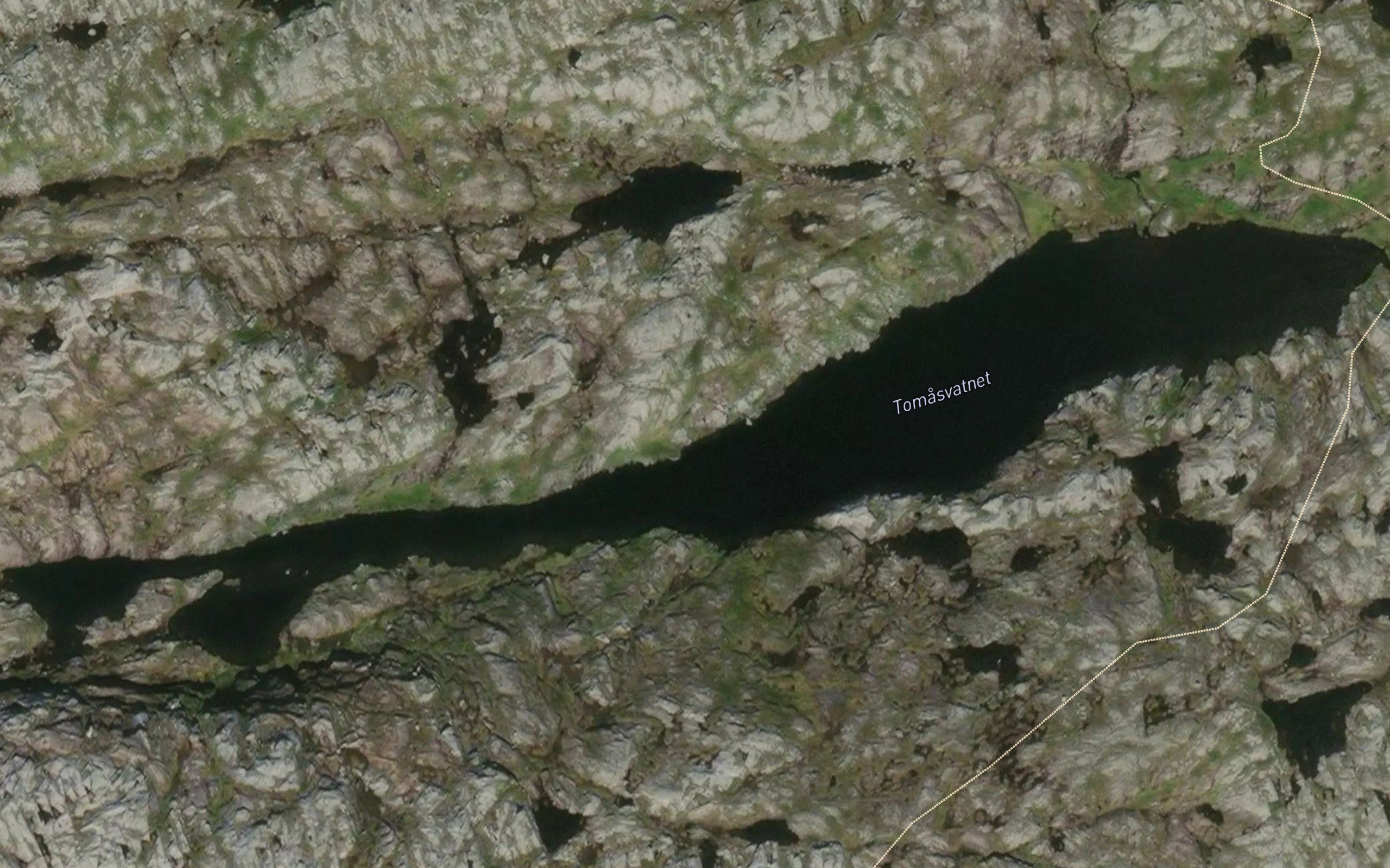 Tomasvatnet