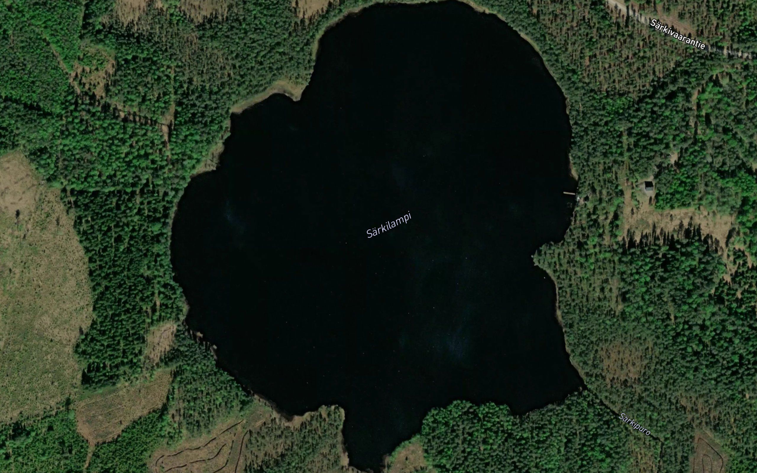 Sarkilampi