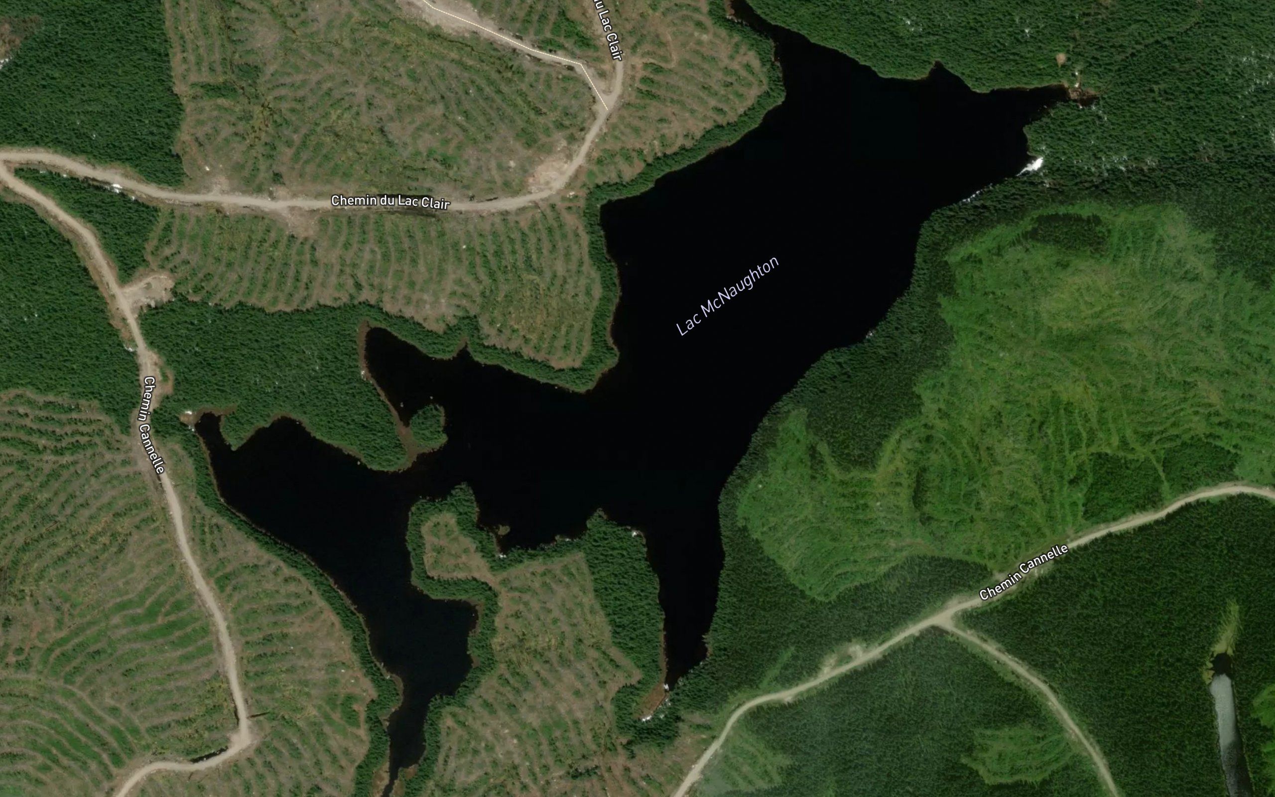Lac McNaughton