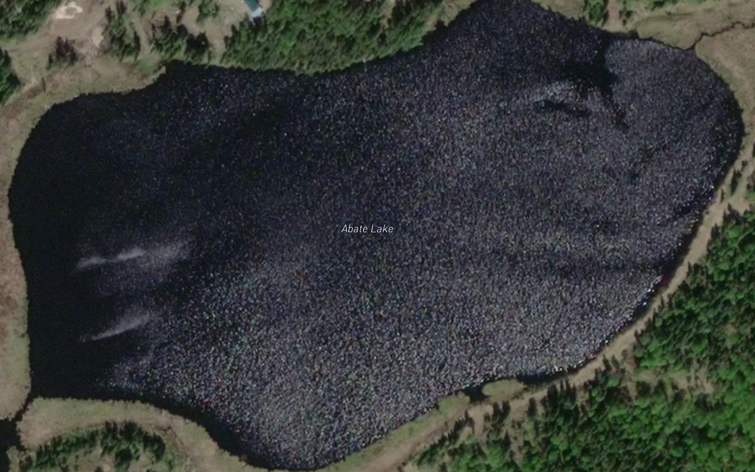 Abate Lake