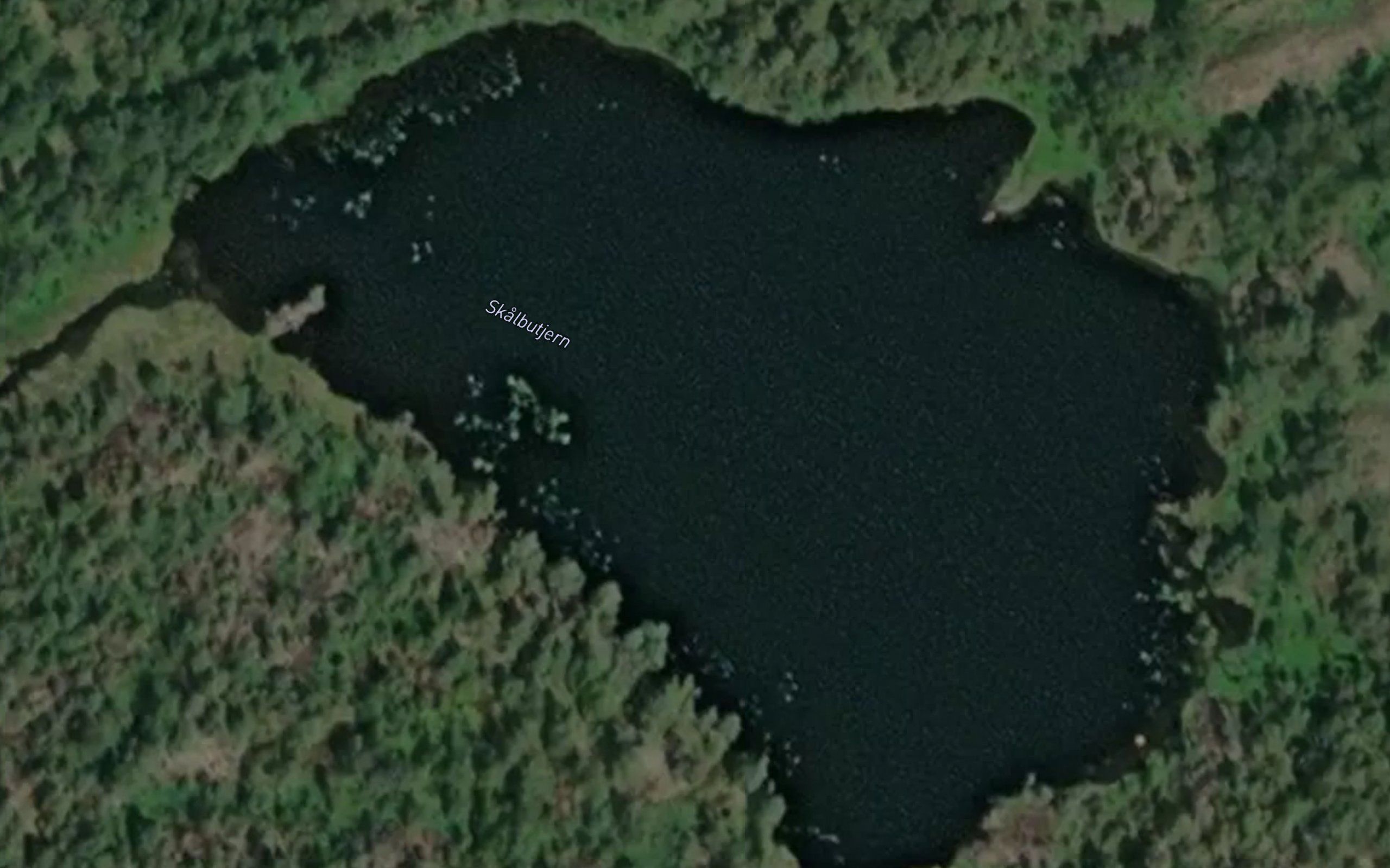 Skalbutjern