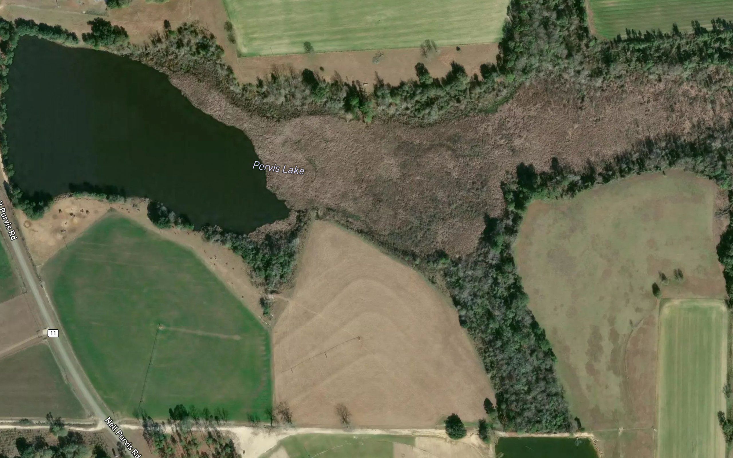 Pervis Lake