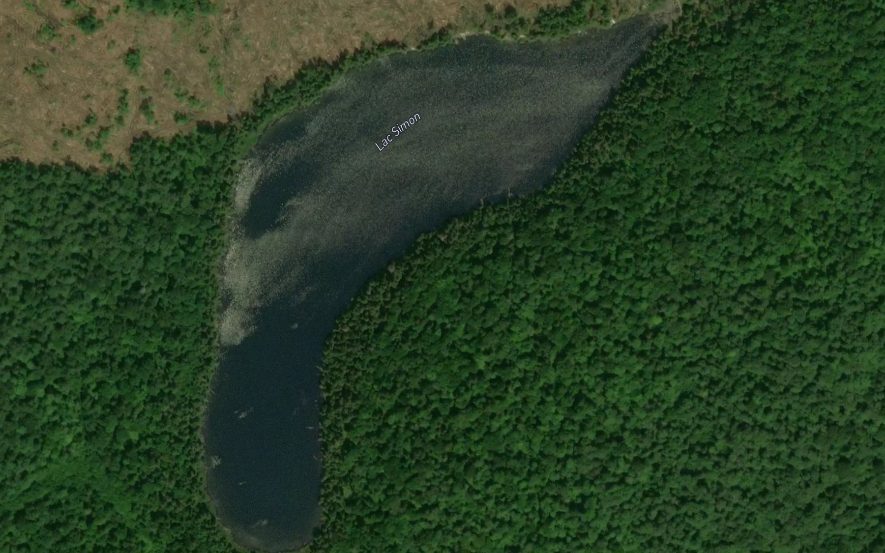 Satellite map of the Lac Simon