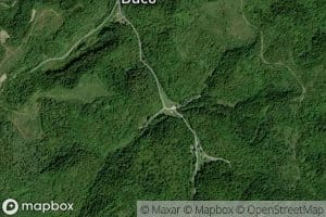 Road Fork