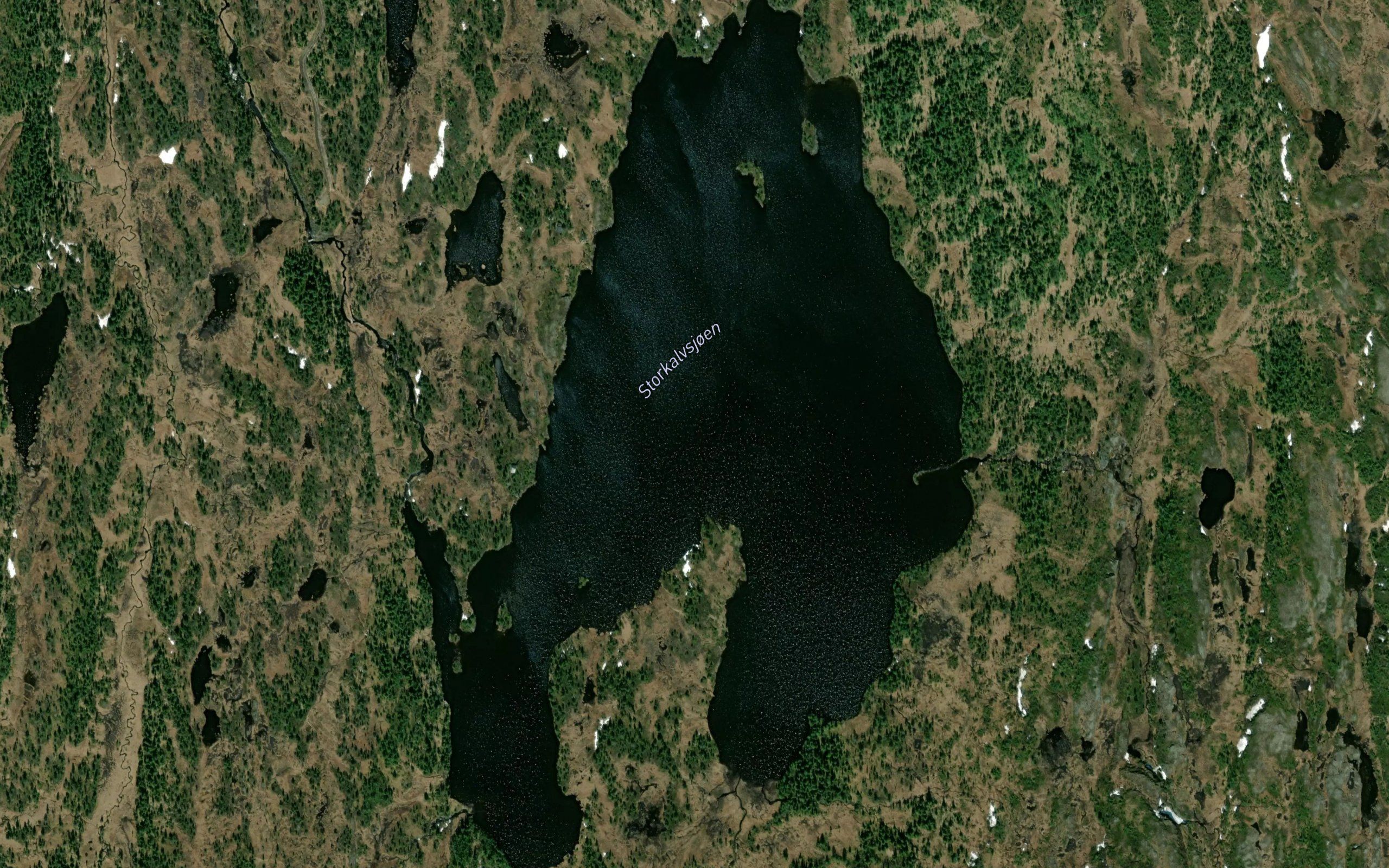 Stor-Kalvsjoen