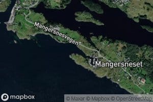 Nesvagen