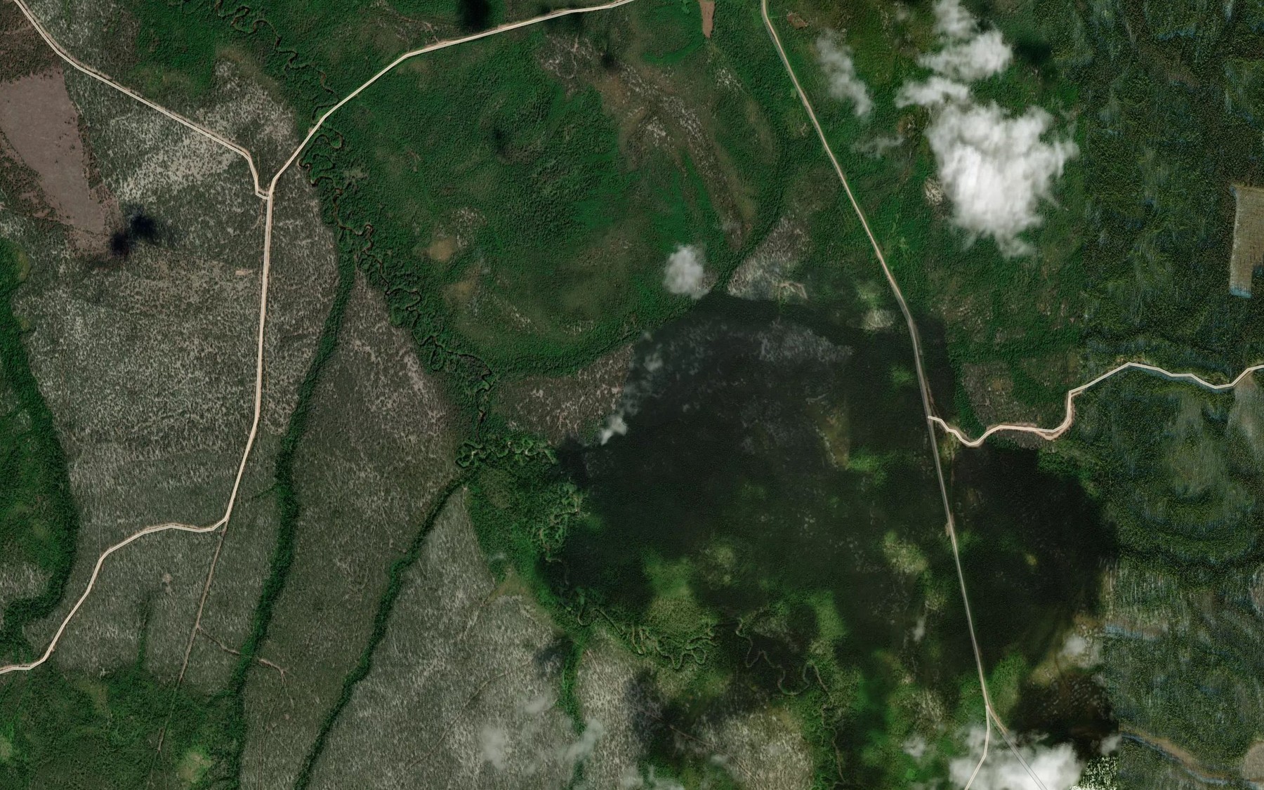 Satellite map of the Pinezhskiy