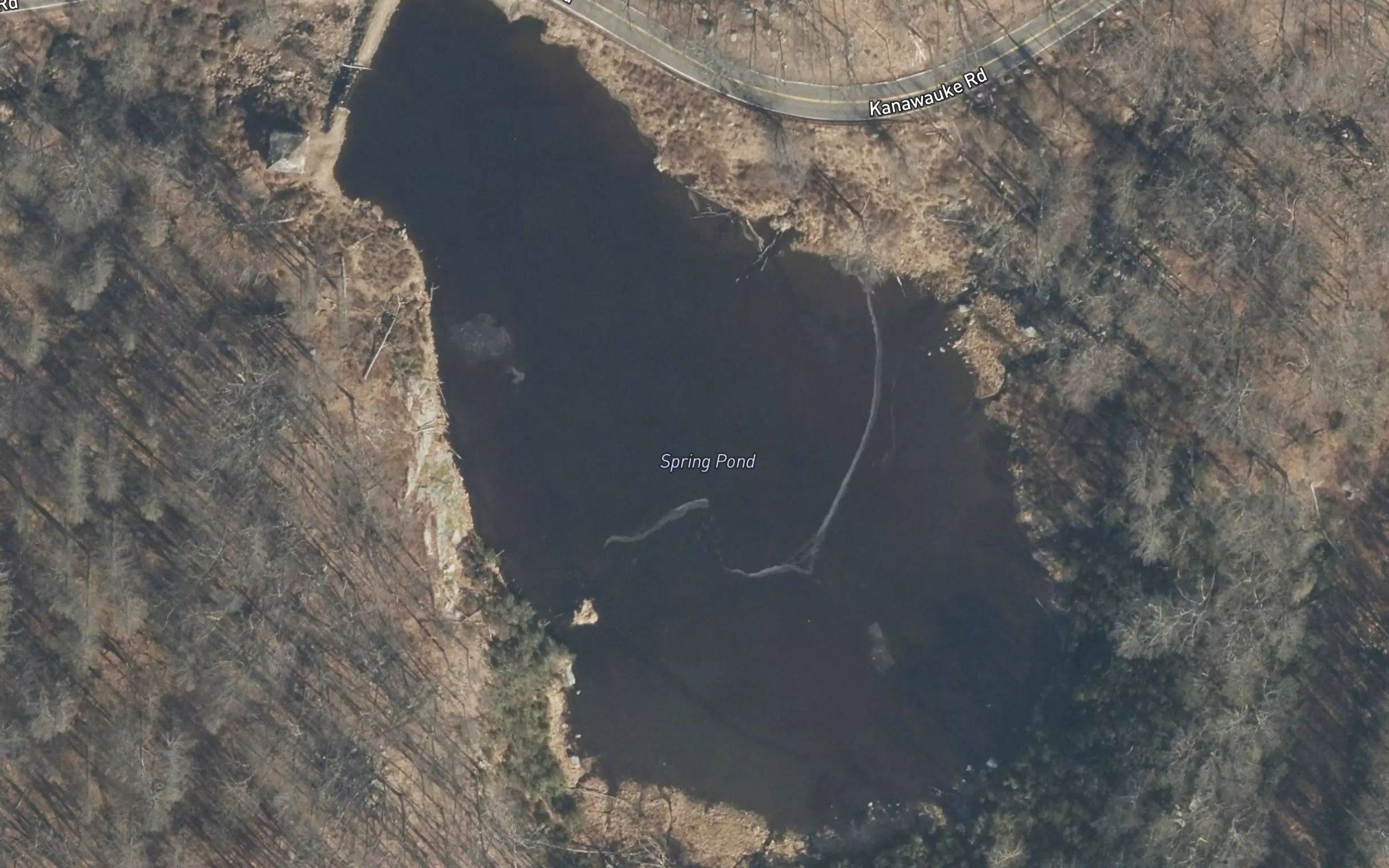 Spring Pond