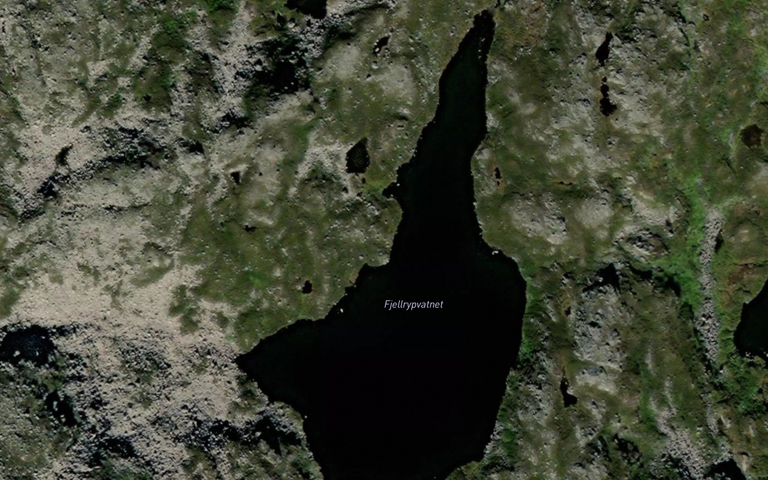 Fjellrypvatnet