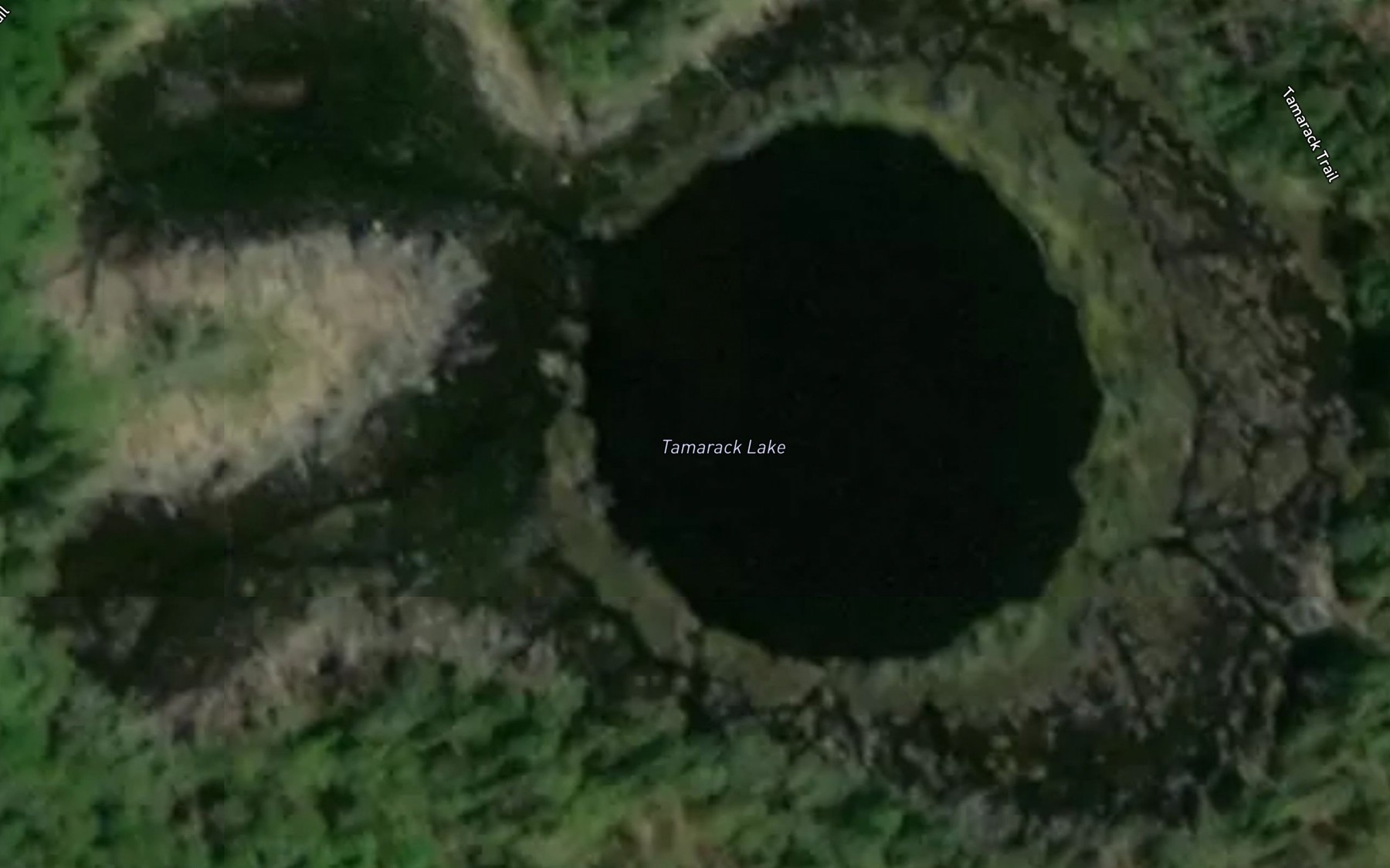 Satellite map of the Tamarack Lake