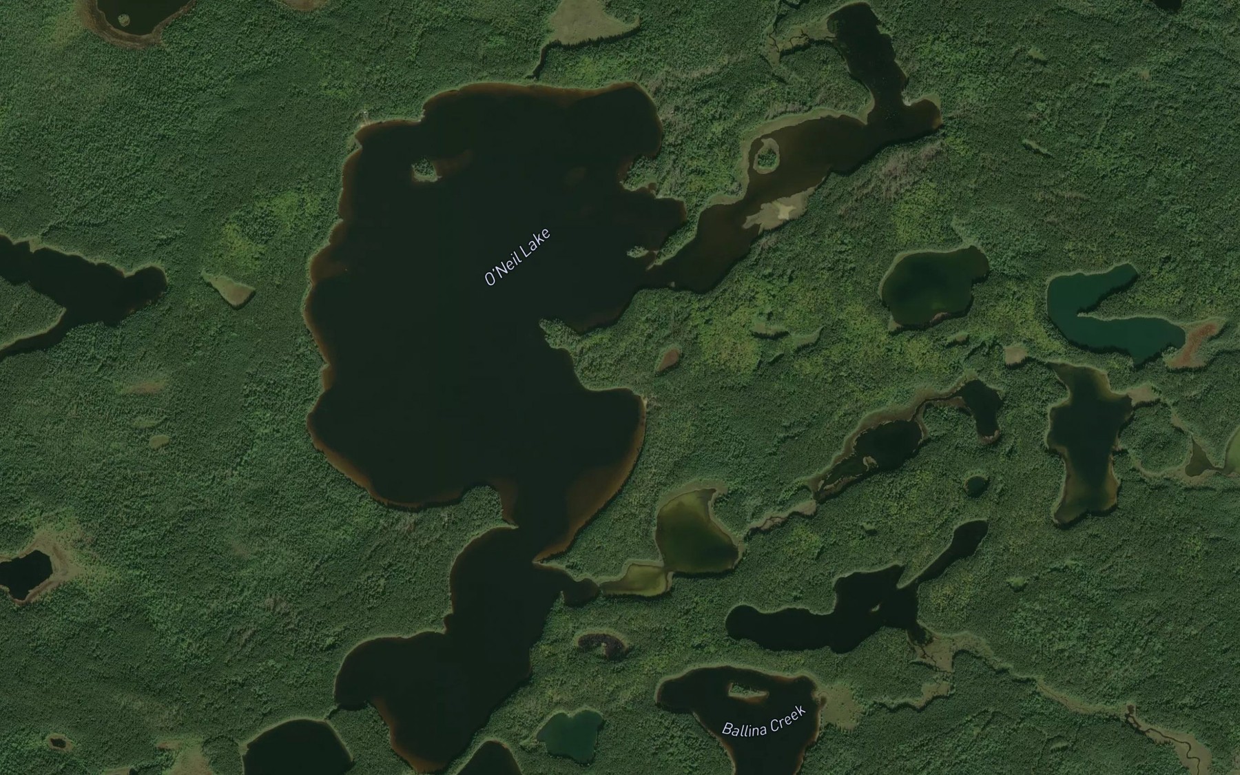 Satellite map of the O'Neil Lake