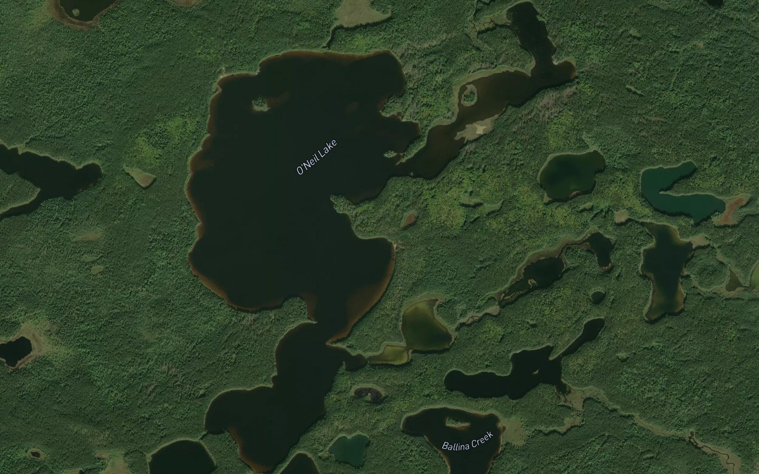 O'Neil Lake