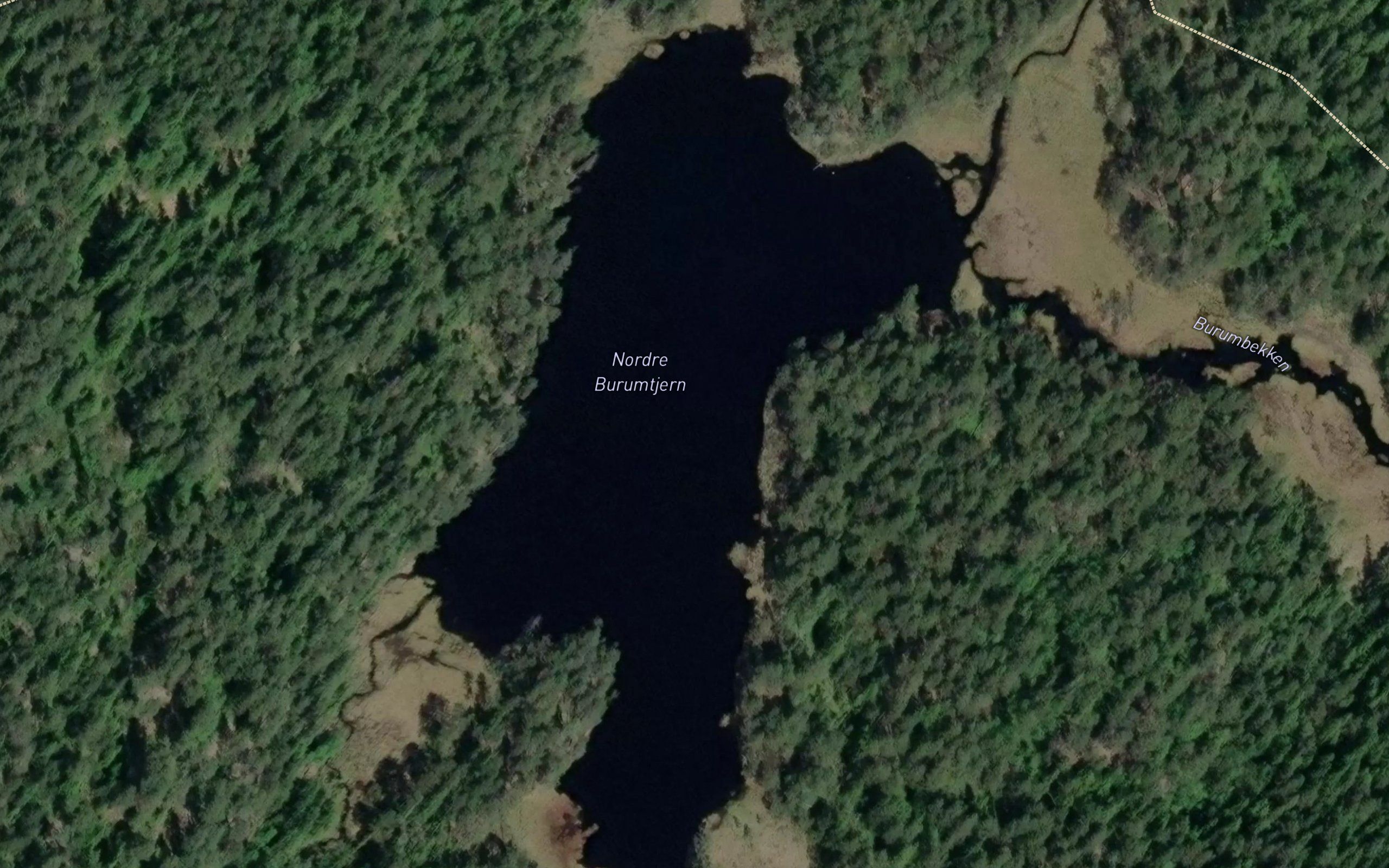 Nedre Burumtjern