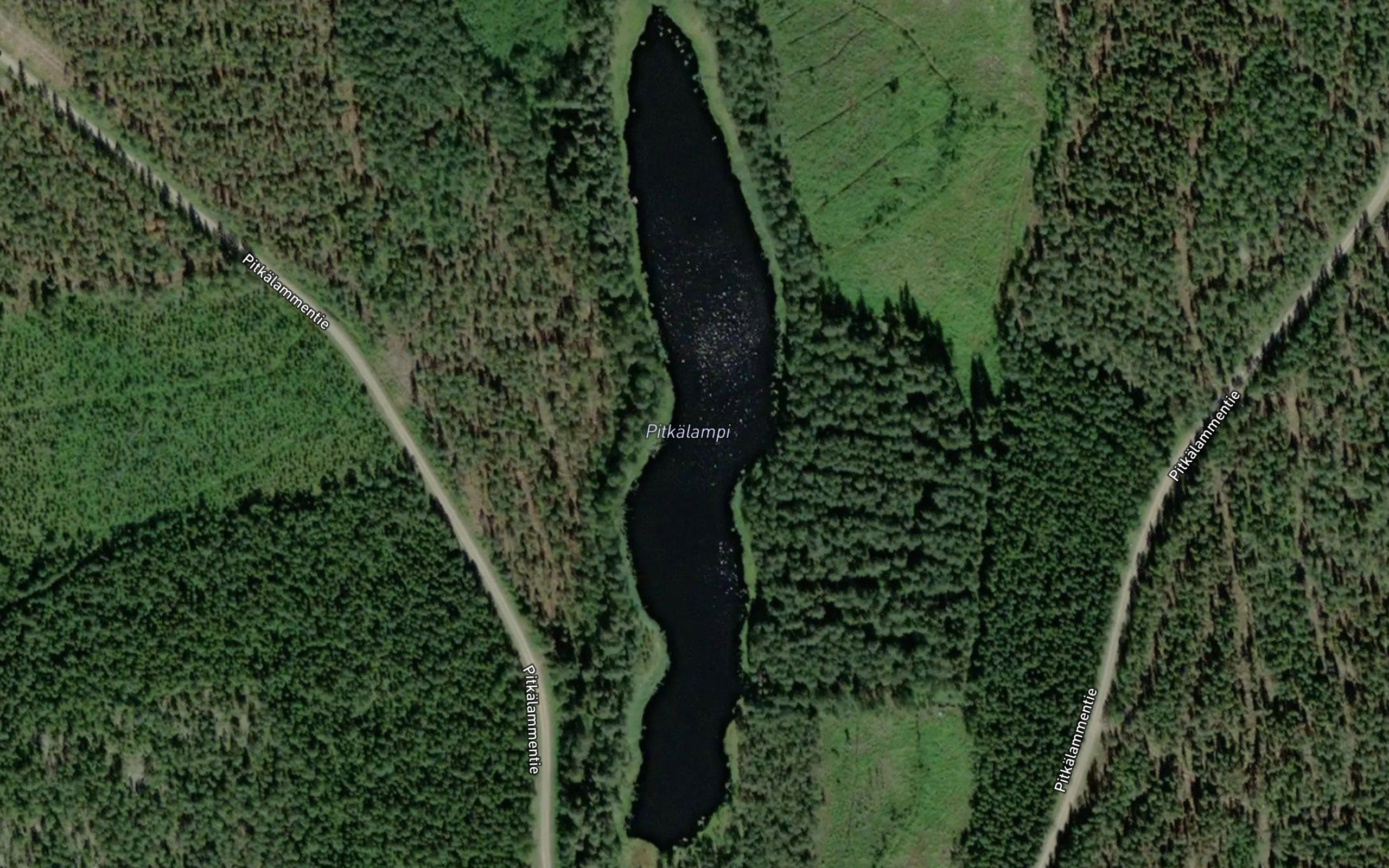 Pitkalampi