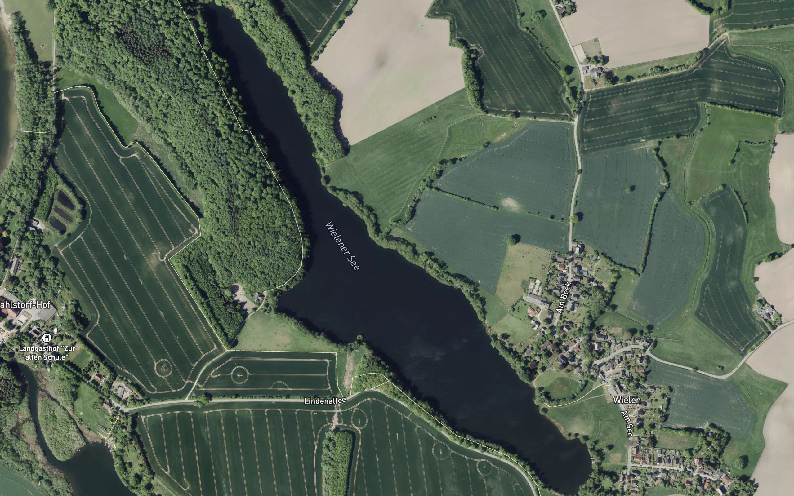 Wielener See
