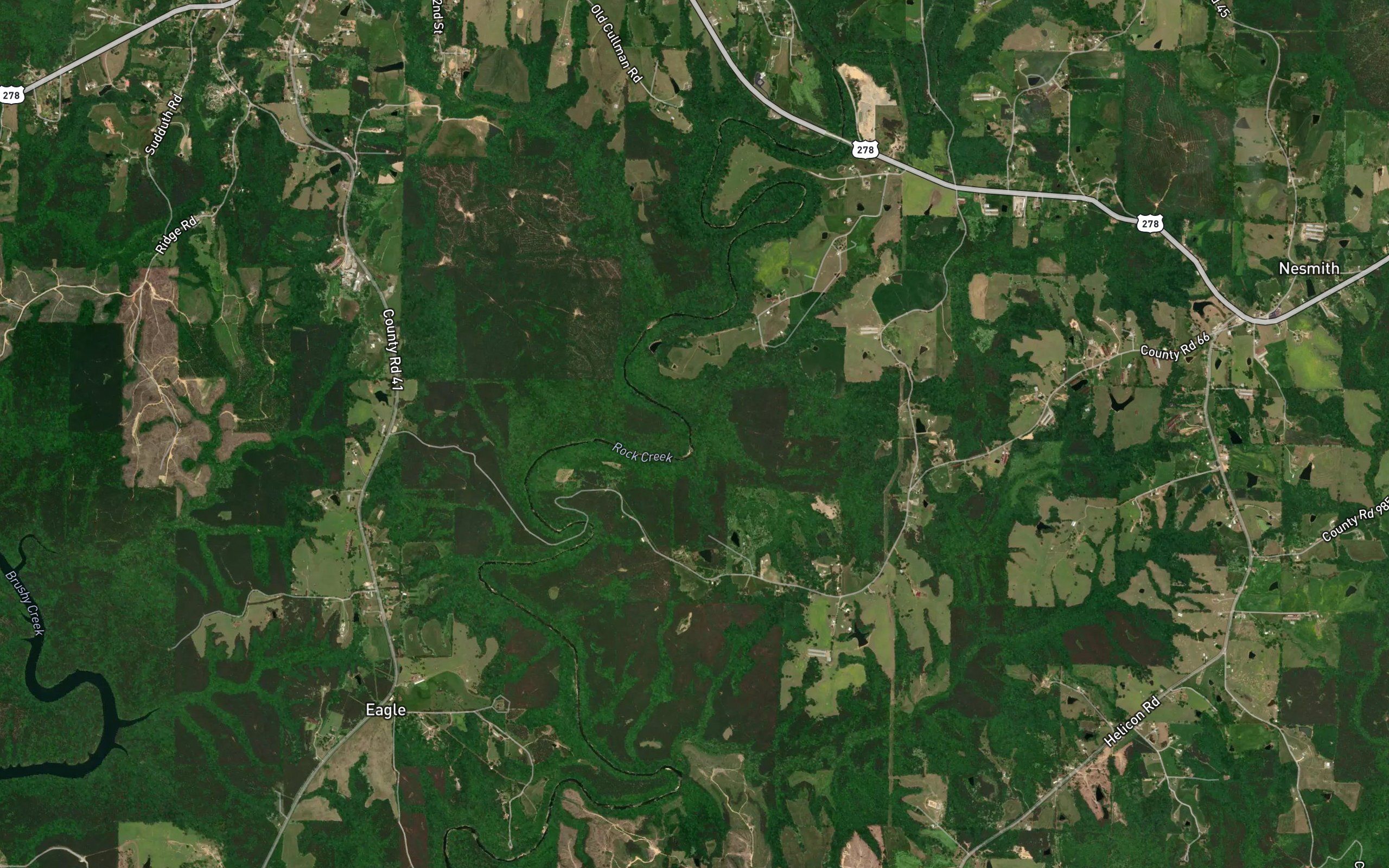 Jones Branch