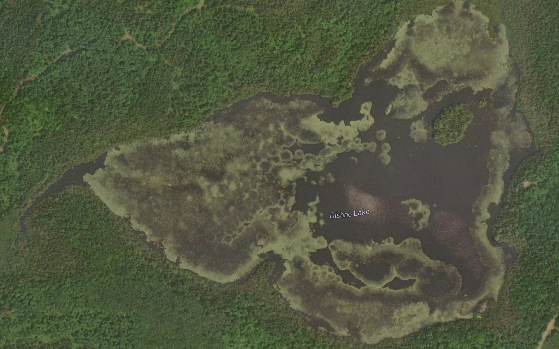 Satellite map of the Dishno Lake